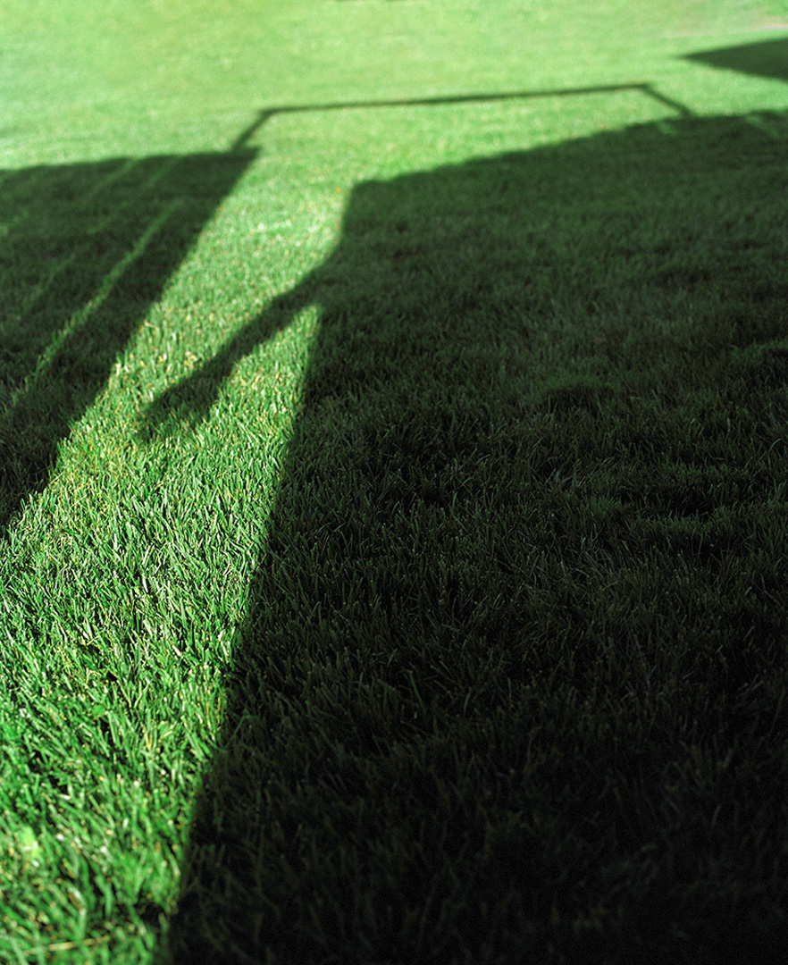 It's Greener on the Other Side, 2020