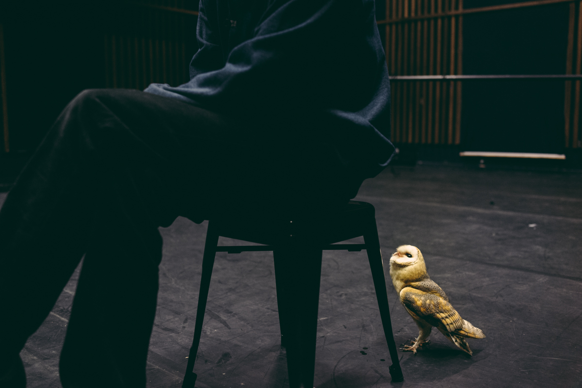 Francesca Todde: A Sensitive Education, 2020