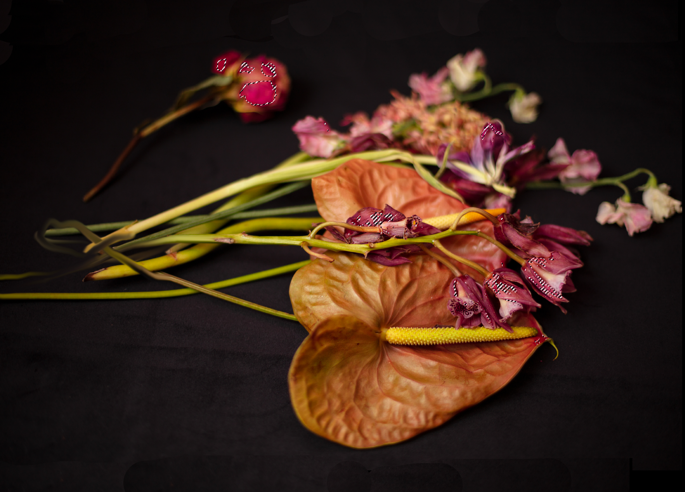 Untitled (marching ants), 2021, archival pigment print, 16"x22"