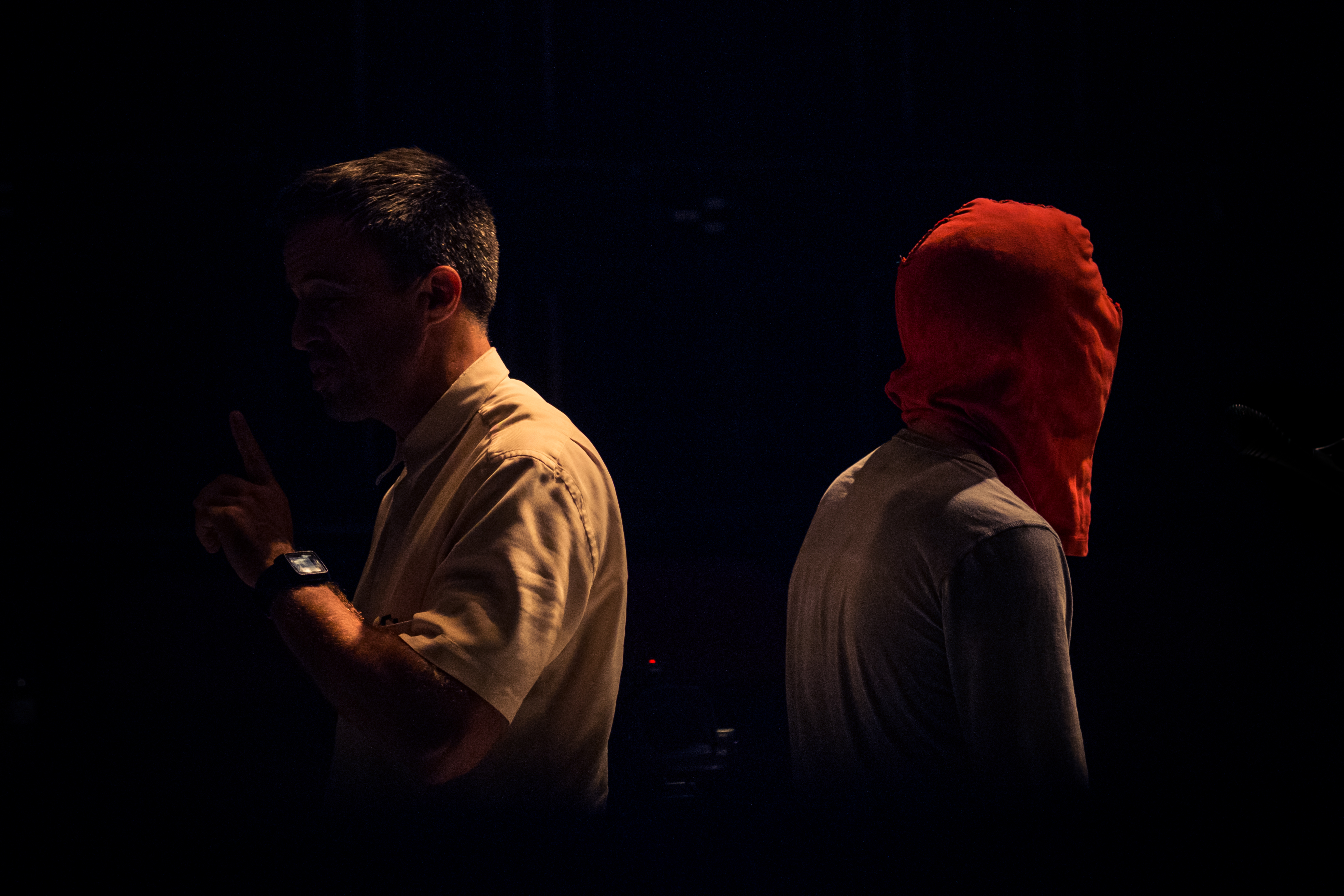 Pedro e o Capitão - 2017