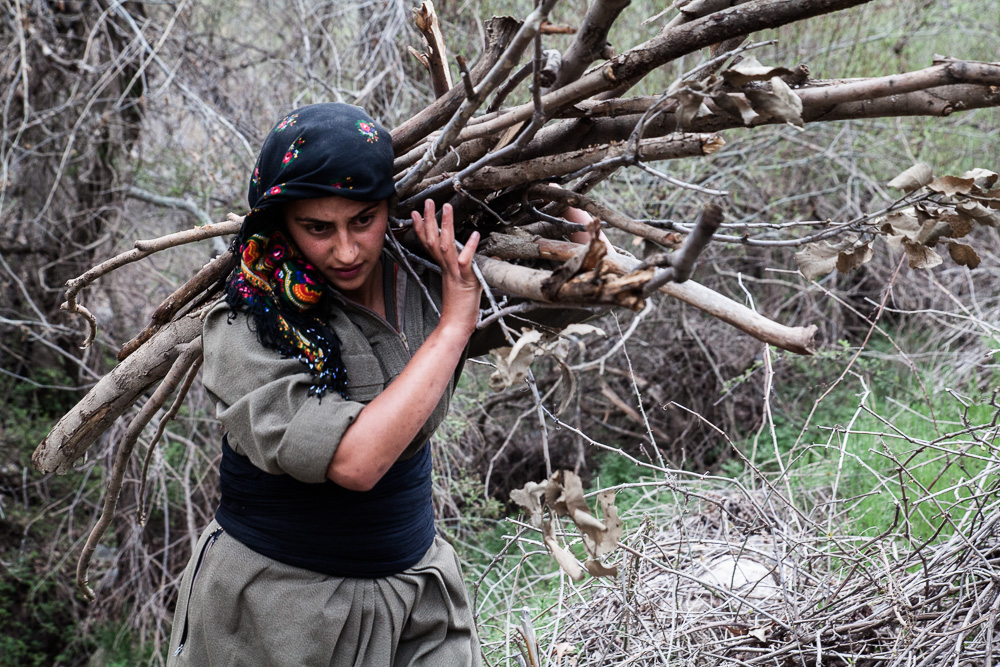 Corv&eacute;e de bois