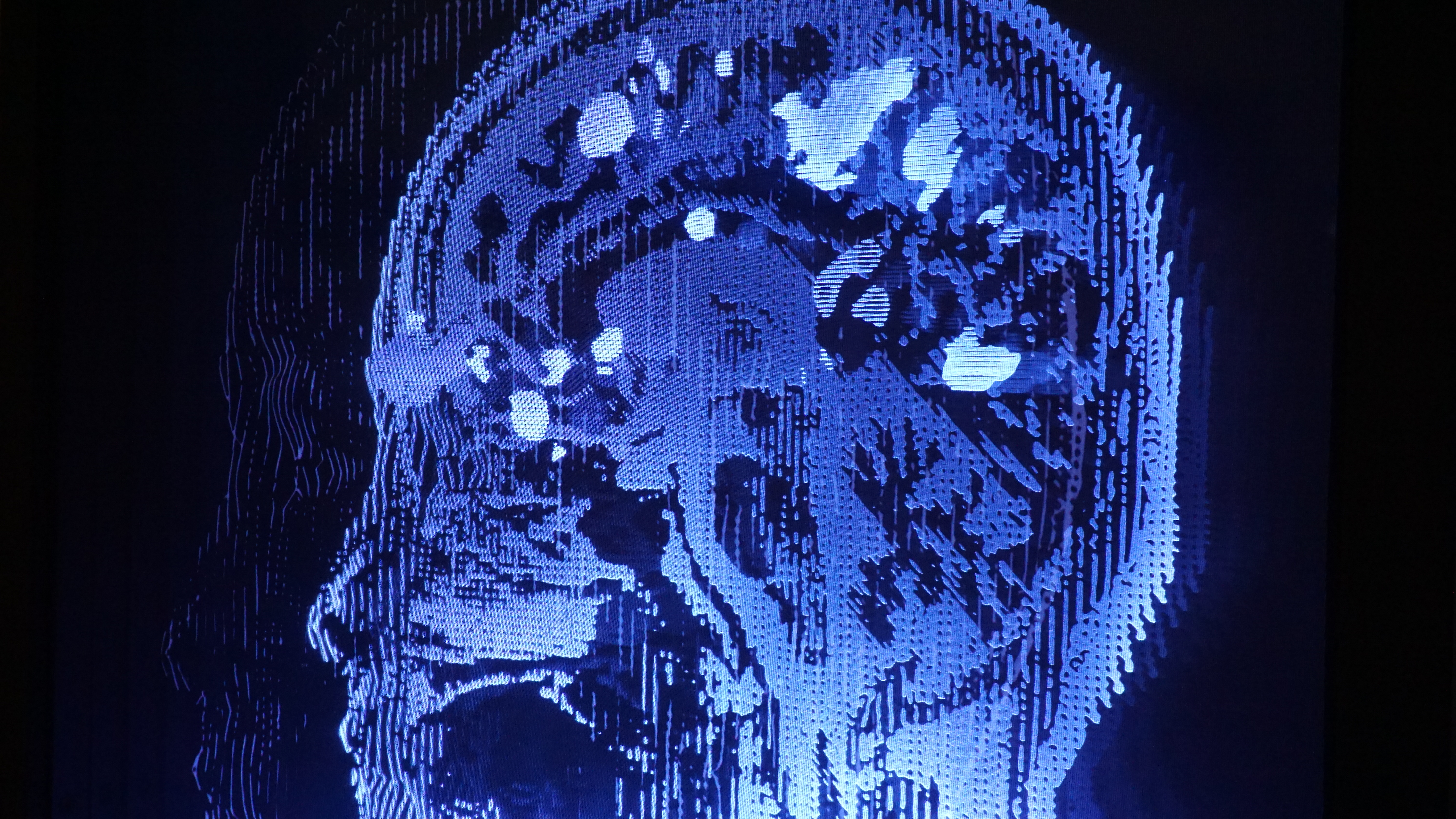 Homo novus (detail shot)