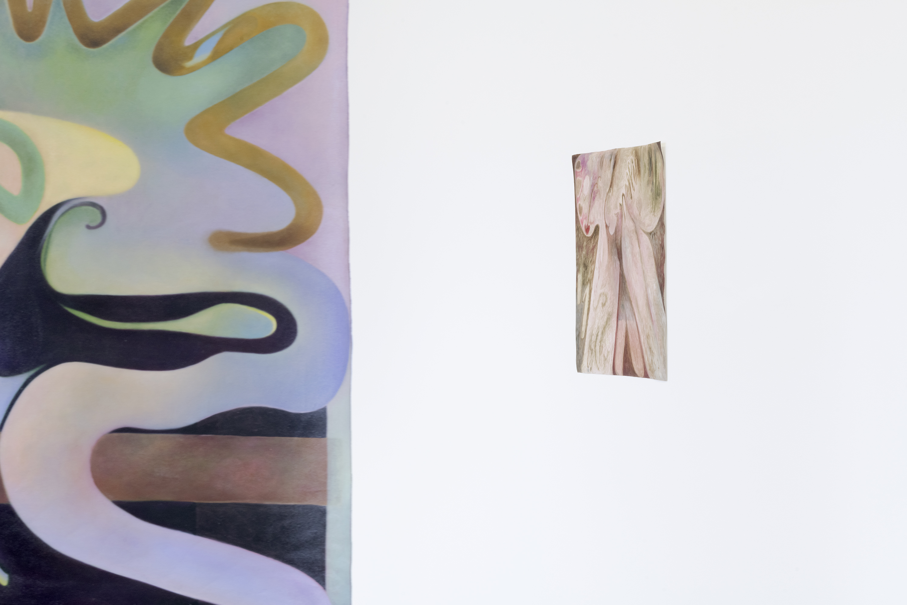 Installation view