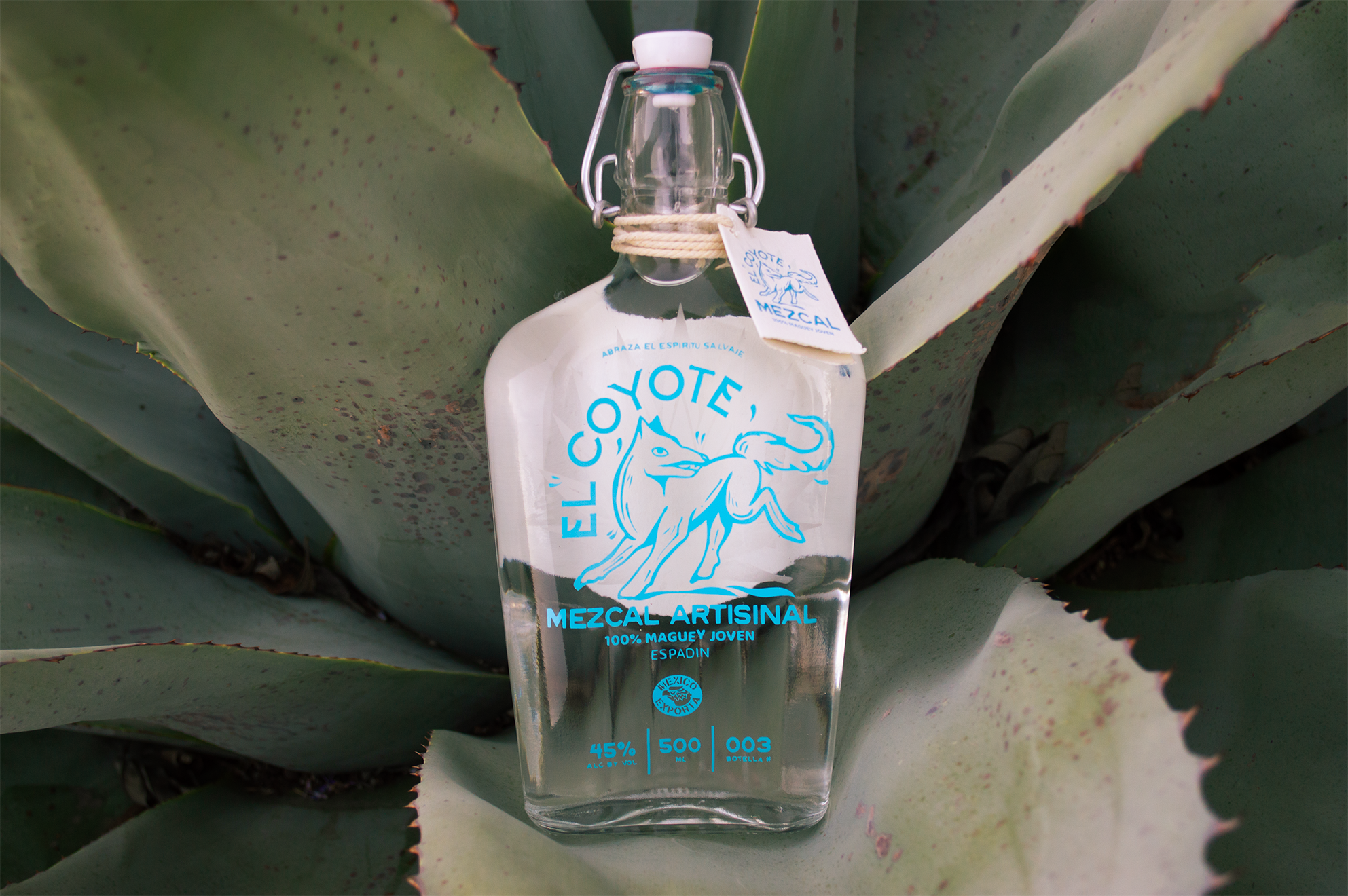 Artisanal mezcal bottle nestled at the base of an agave plant, highlighting its natural origins.