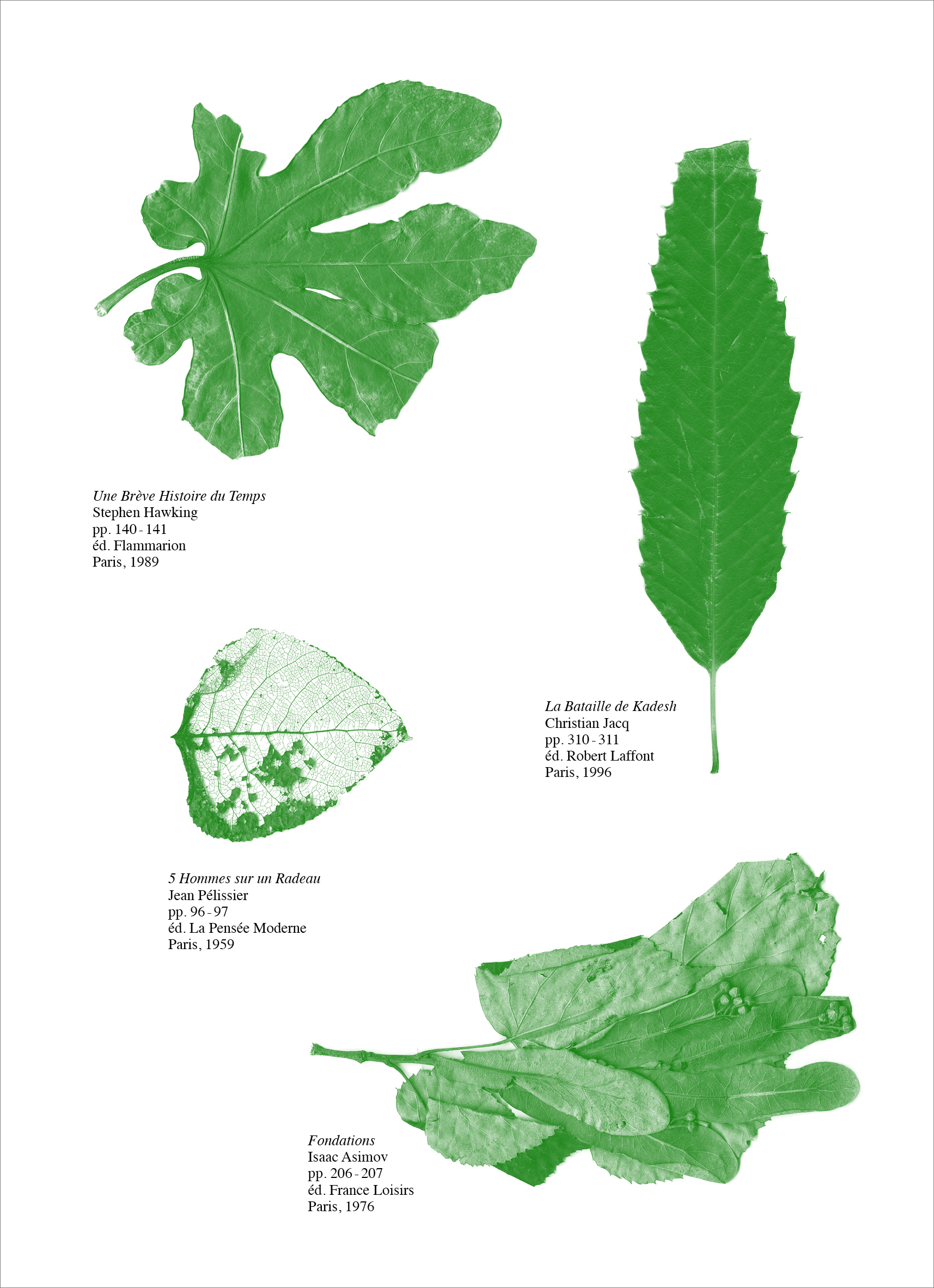 BIBLIOTHÈQUE VERTE - A3 RISO PRINT - 35 €