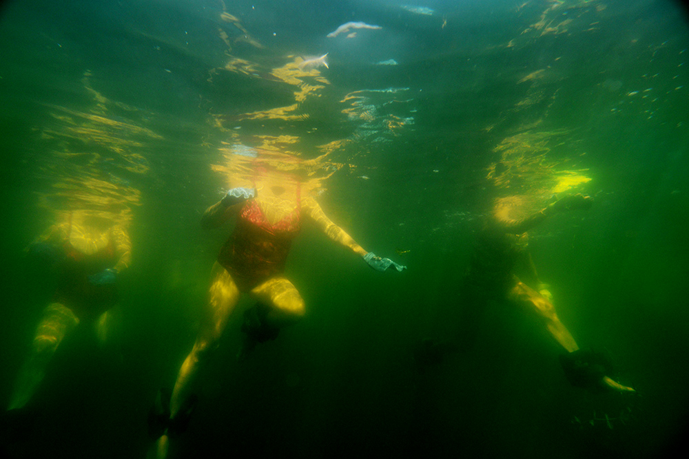 Life around Swan, Kalmalka and Okanagan lakes during a residency at Caetani Cultural Centre and Allan Brooks Nature Centre, Vernon BC Canada 2013.