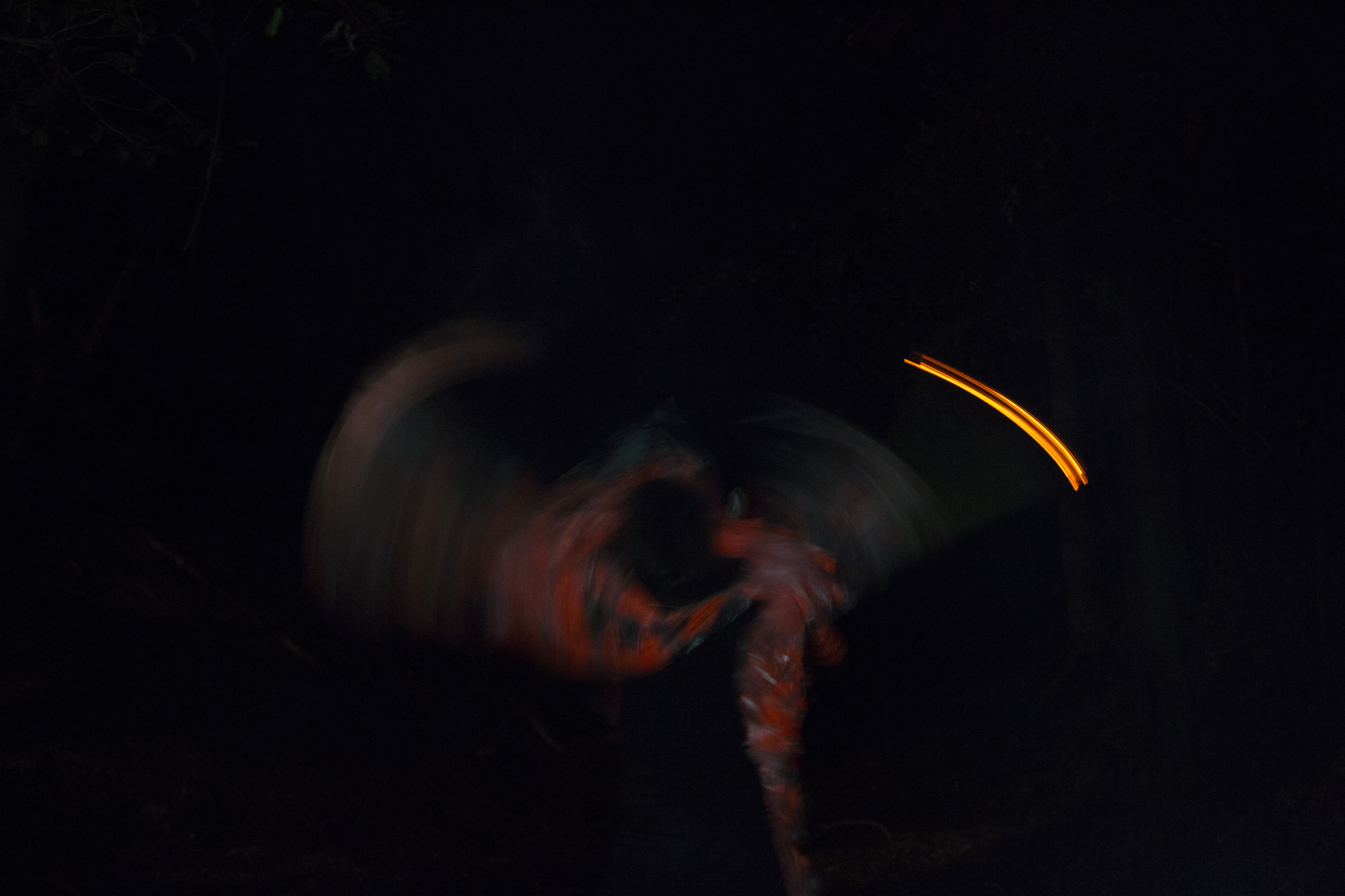 The shaman attempts to reach a trance-like state to speak with it's internal sickness