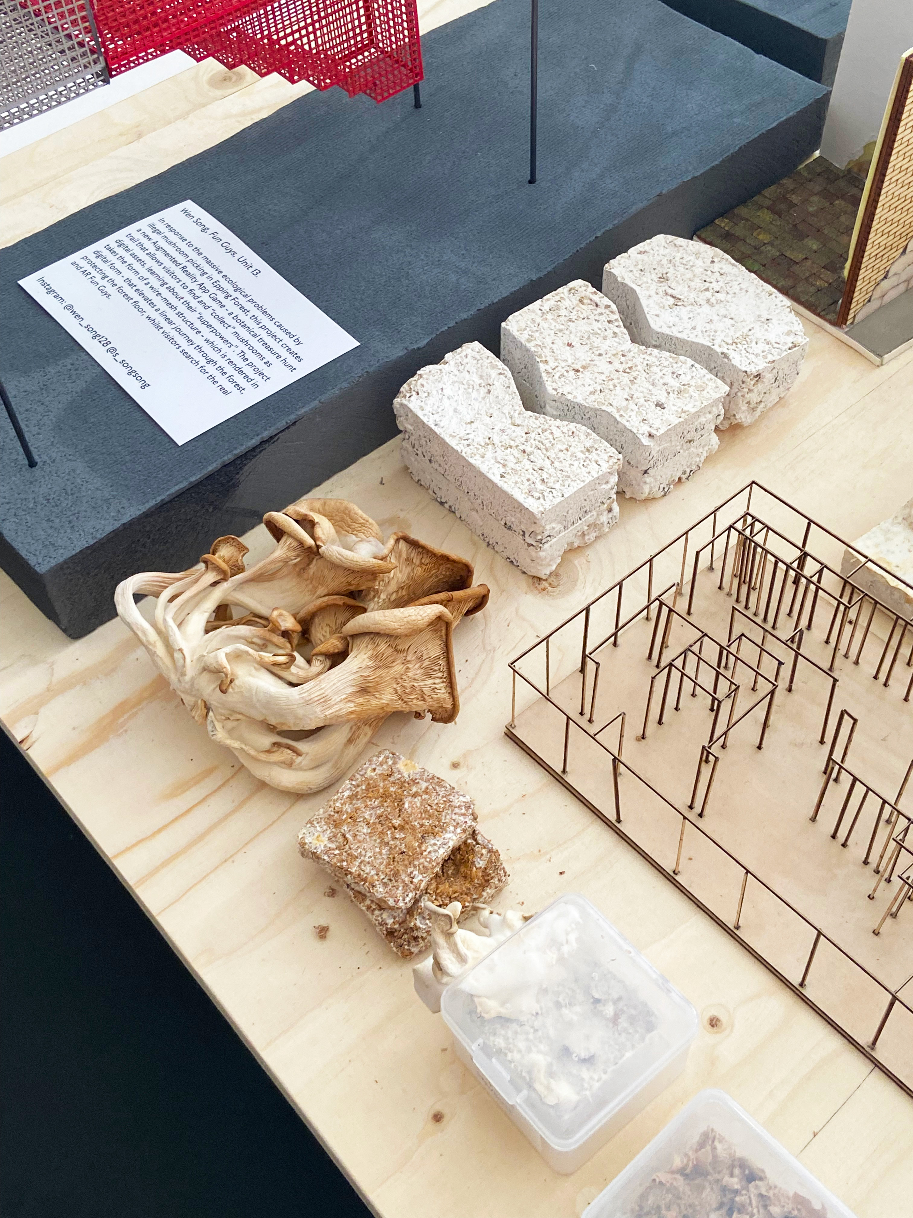 AA Project Review, 2023