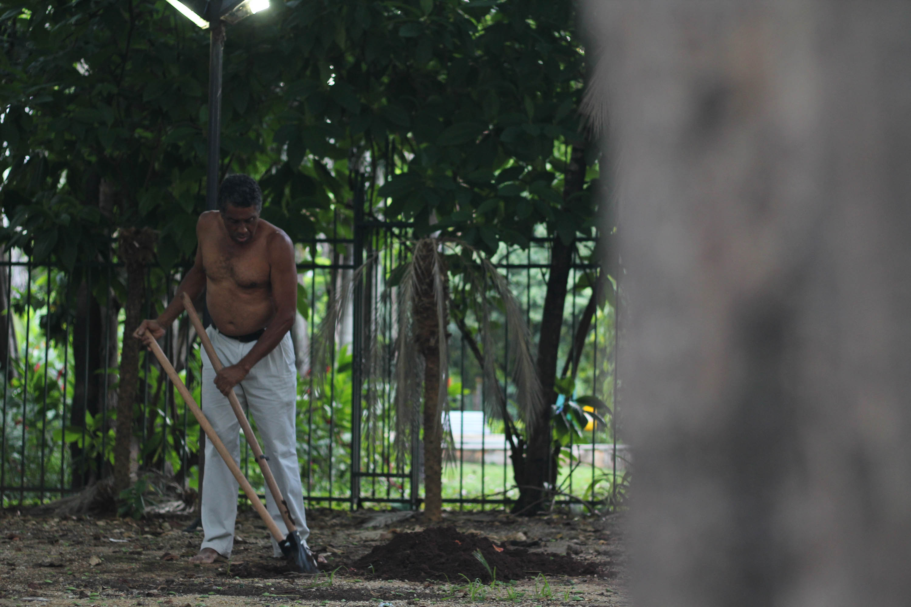 ARADOArtista convidado: Jorge da Costa. Performance. 2019
