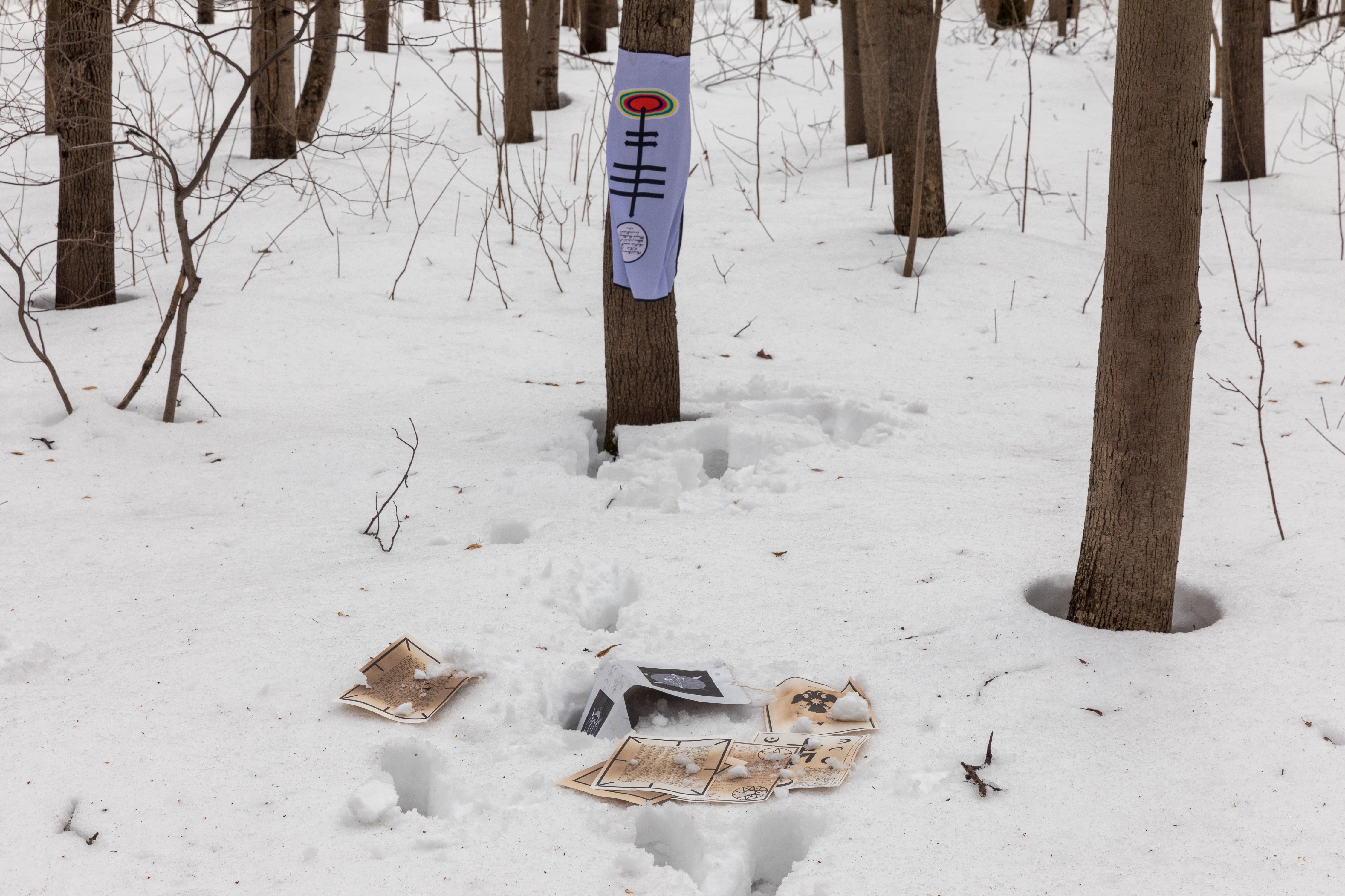 Installation view