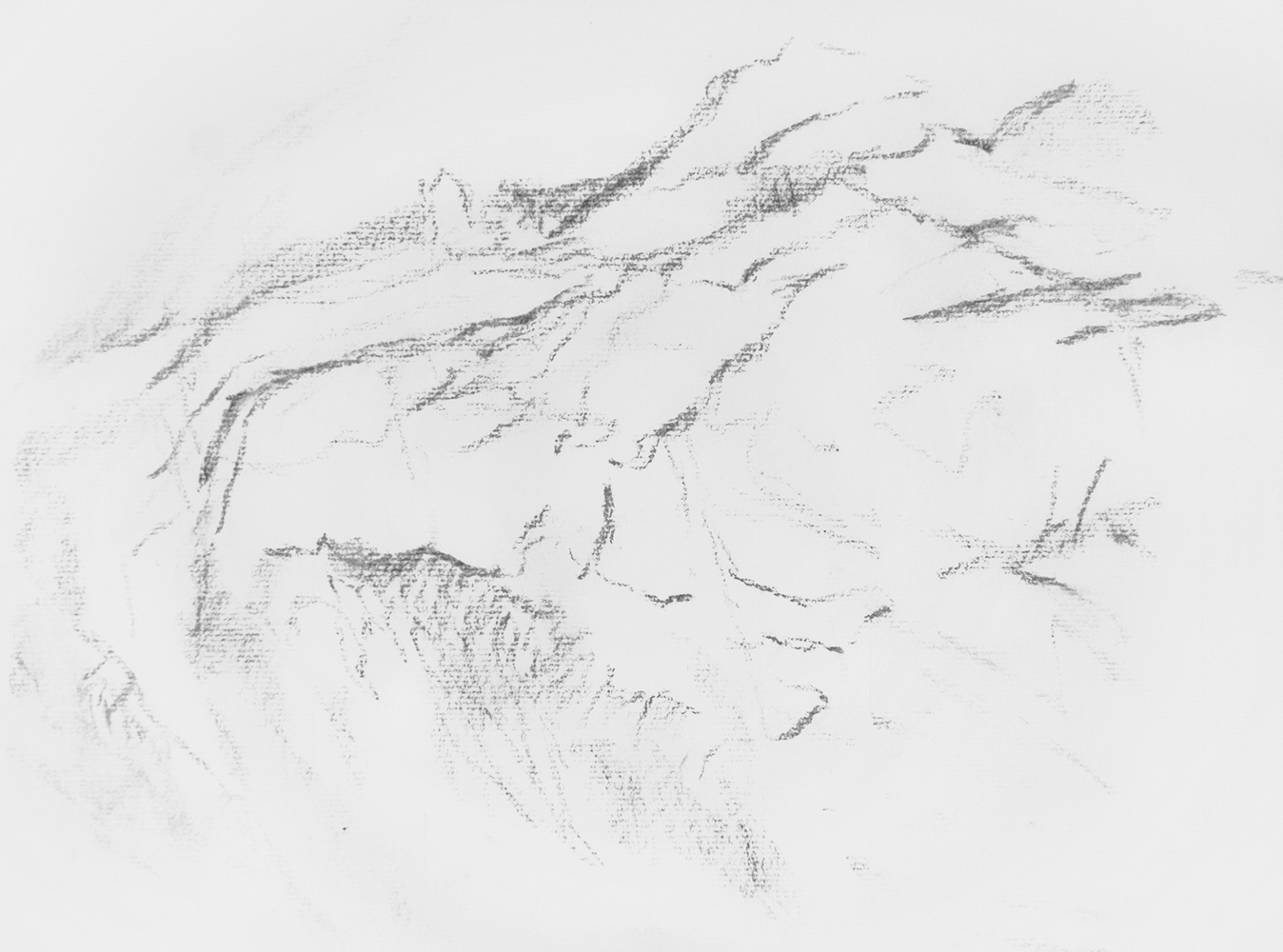 Paroi, Norvège (II)fusain sur papierenv. 28 x 42 cm, 2008 