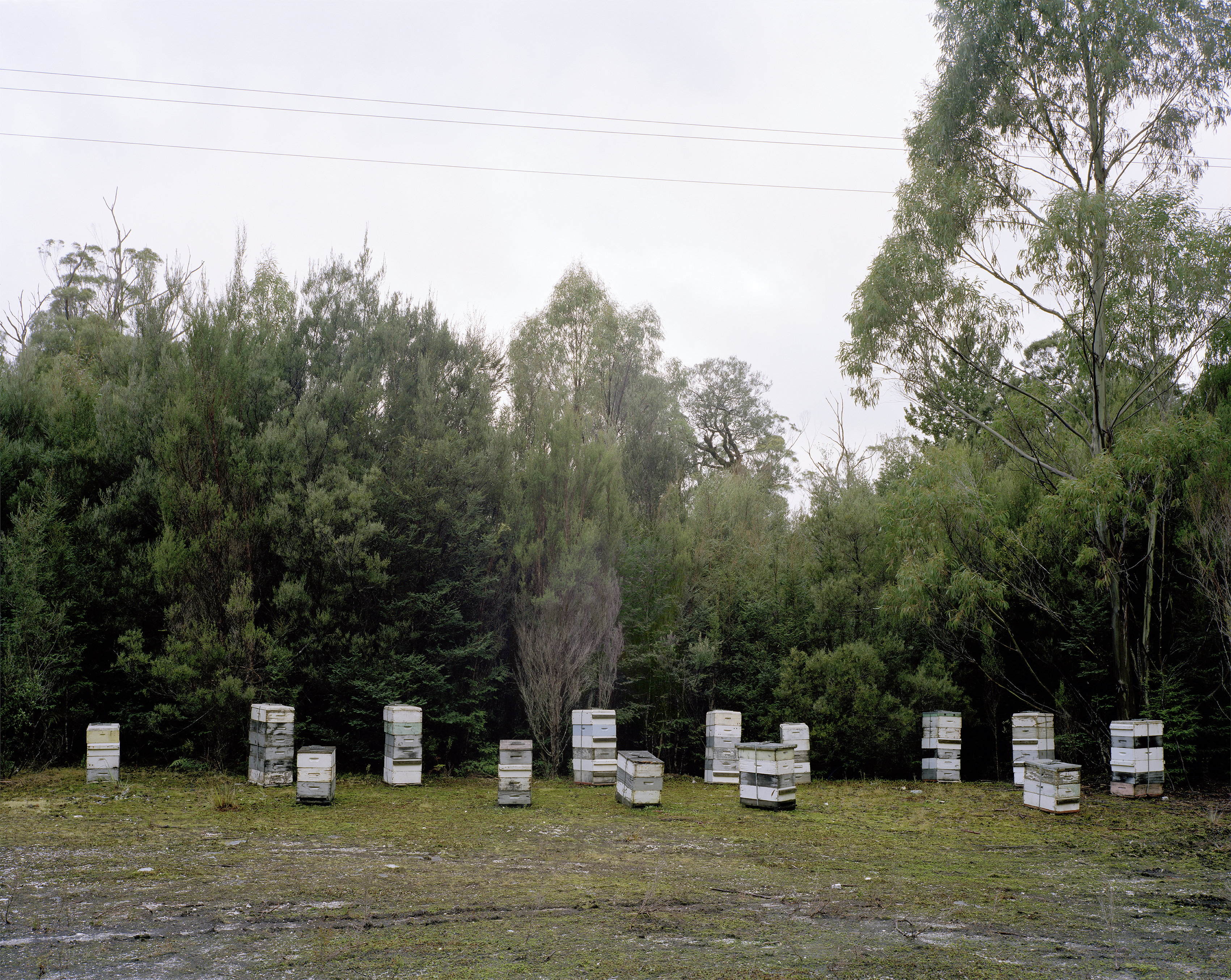 Maydena No.3, archival inkjet print, 100cm x 94cm, edition of 6