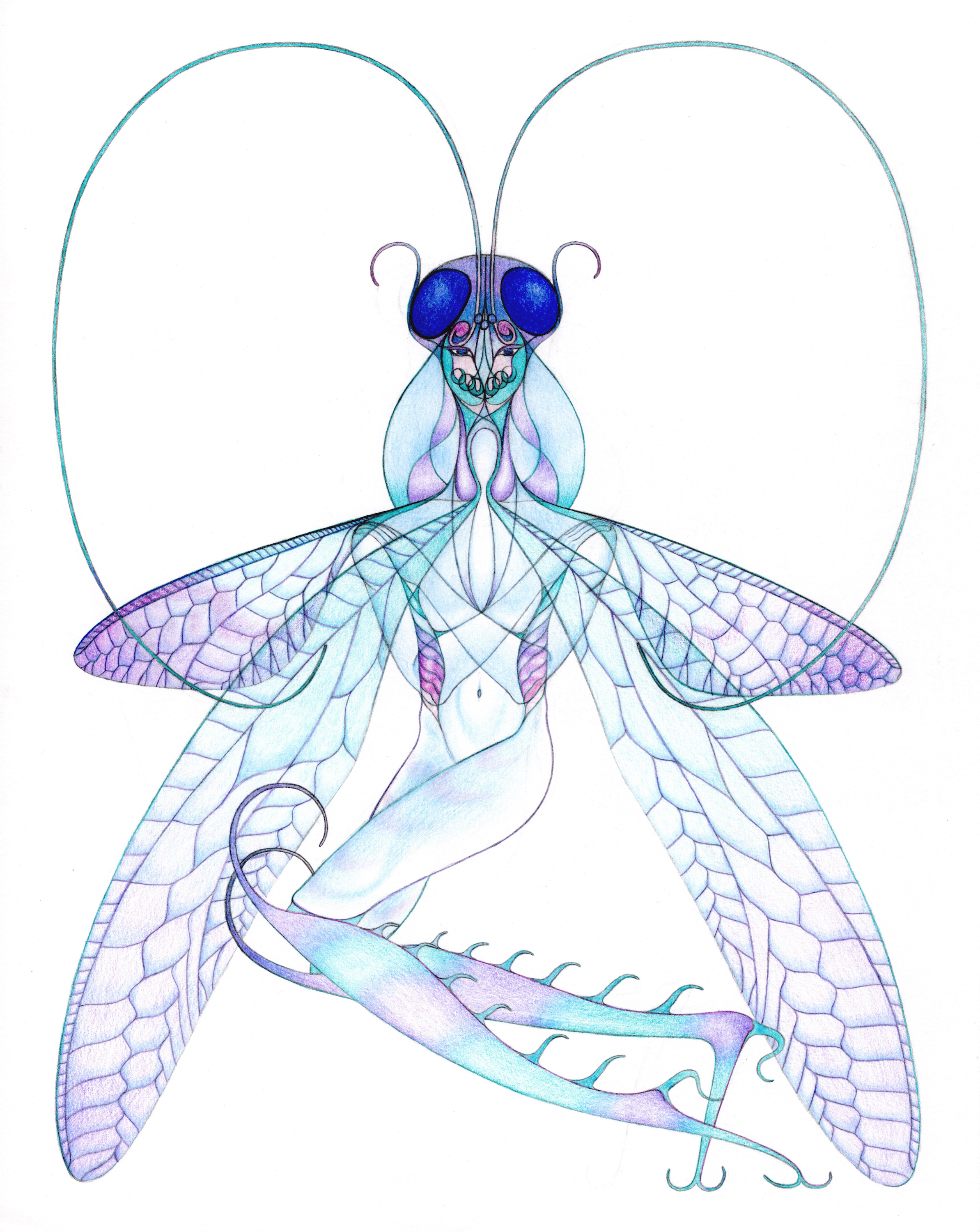 Fairy (11"x14", colored pencil & graphite on paper)