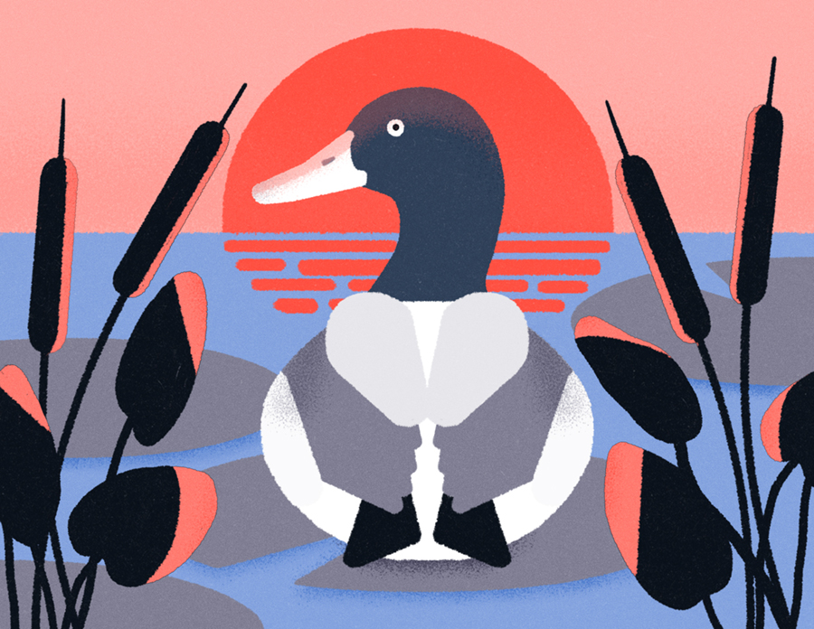 Illustration María Hergueta