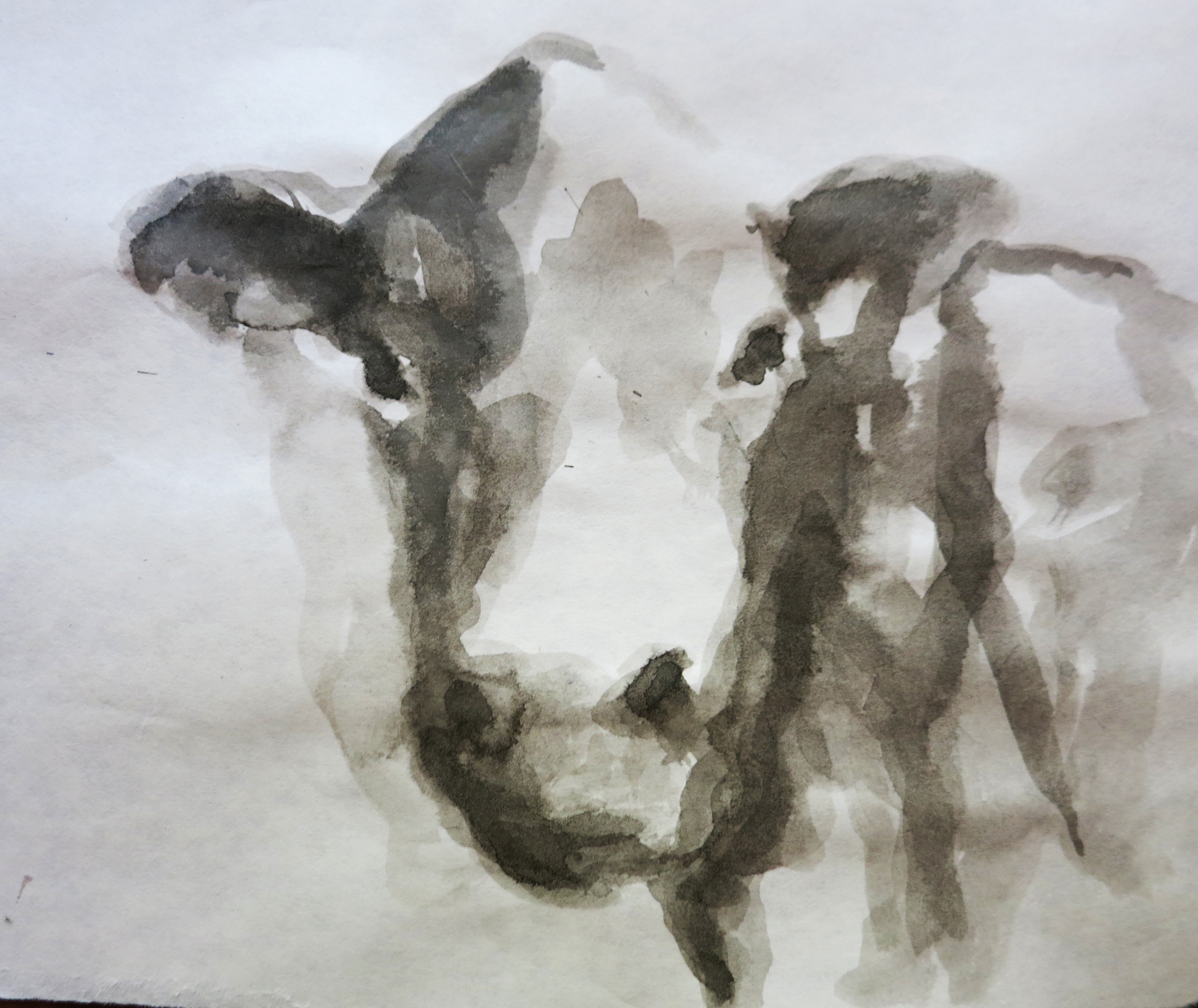  Ink on paper &ndash; 11&rdquo; x 8&rdquo; 