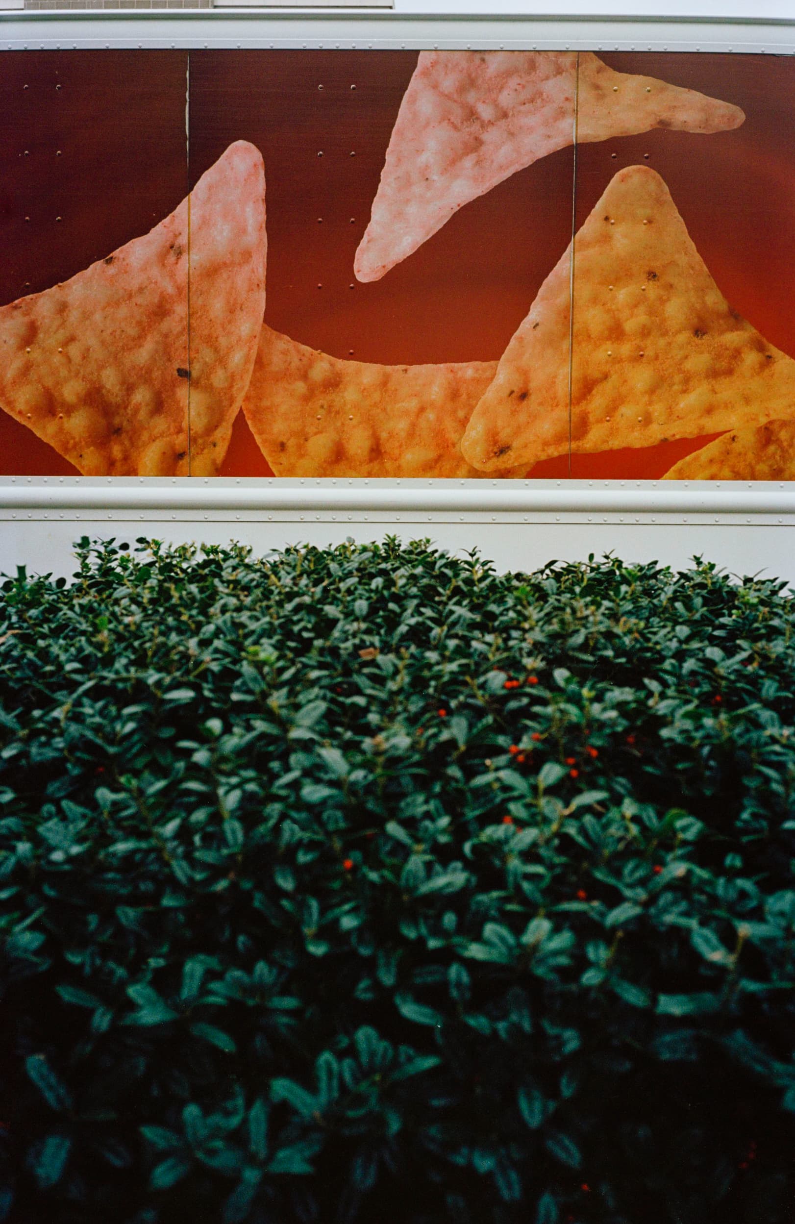 SAVANNAH, GA • 2019