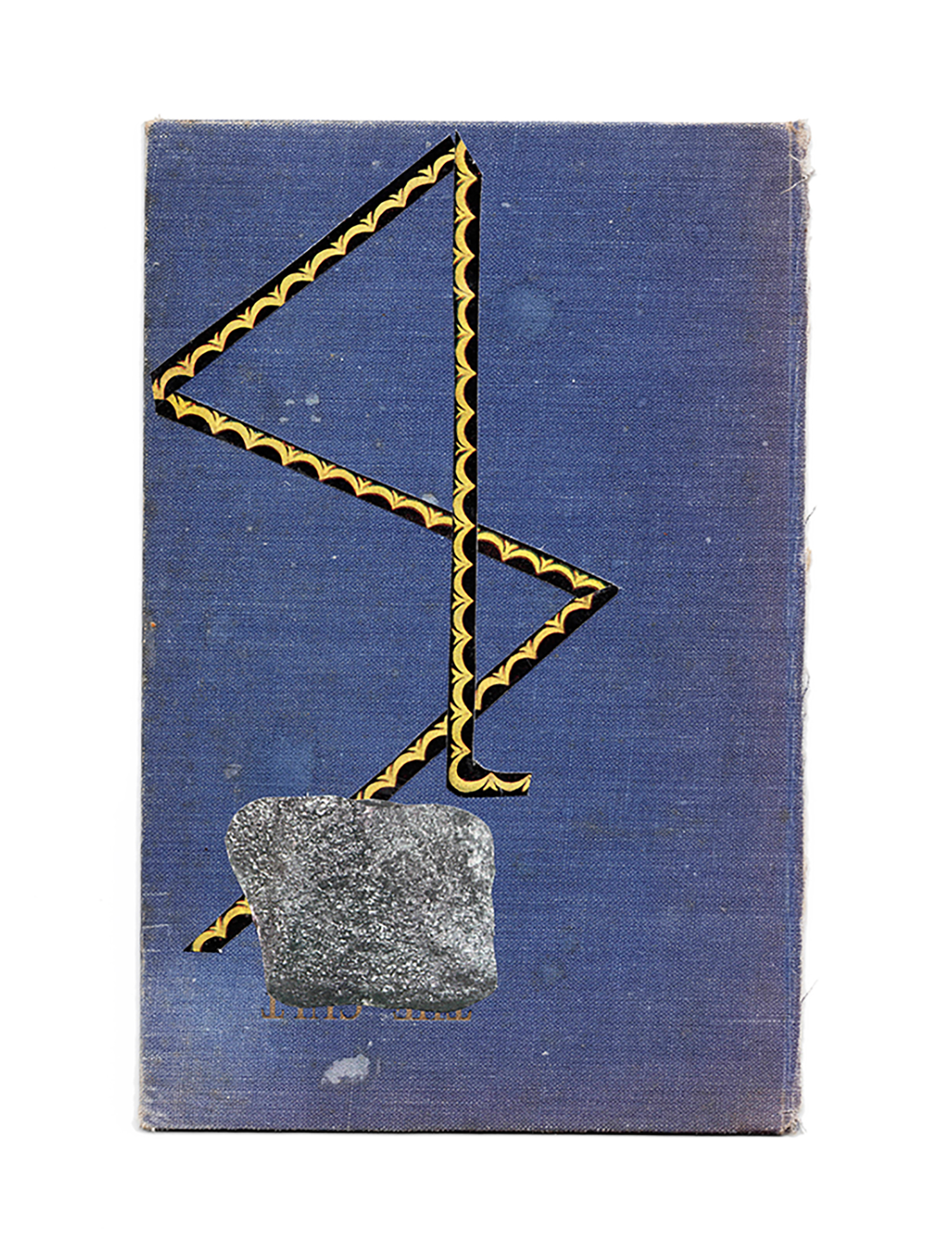 'Bluefoot' collage on cloth cover