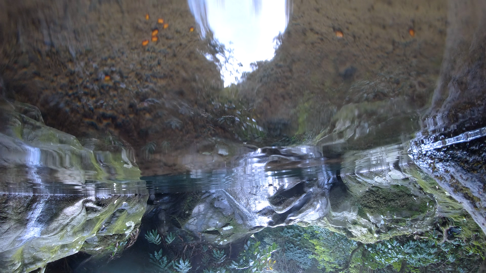 image from Zoë Mc Pherson's Music Video Lamella, directed by Alessandra Leone and picturing a POV shot at the edge between air and underwater, along the water line