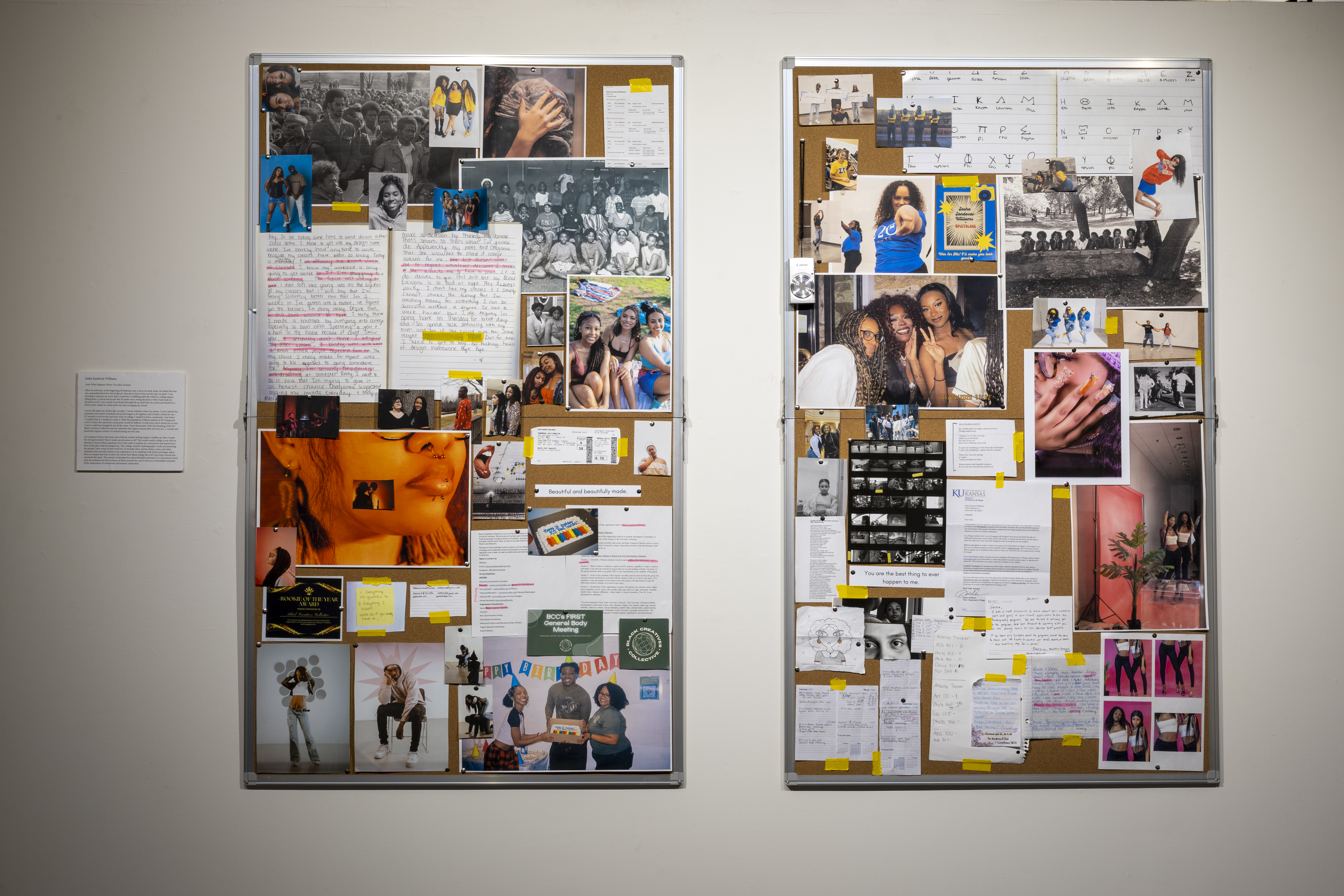 Sasha Sandoval-Williams 