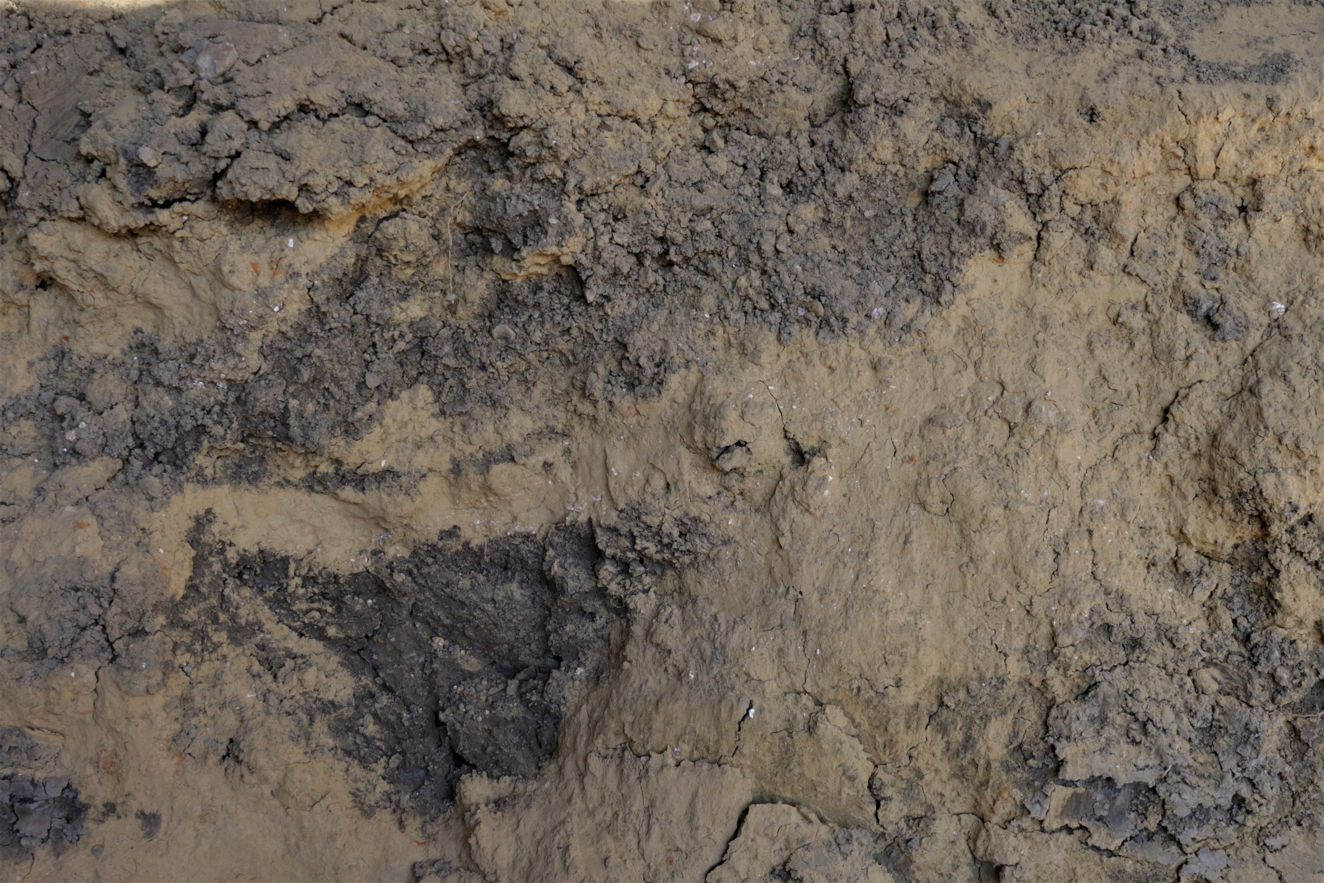 Some clays are more homogeneous