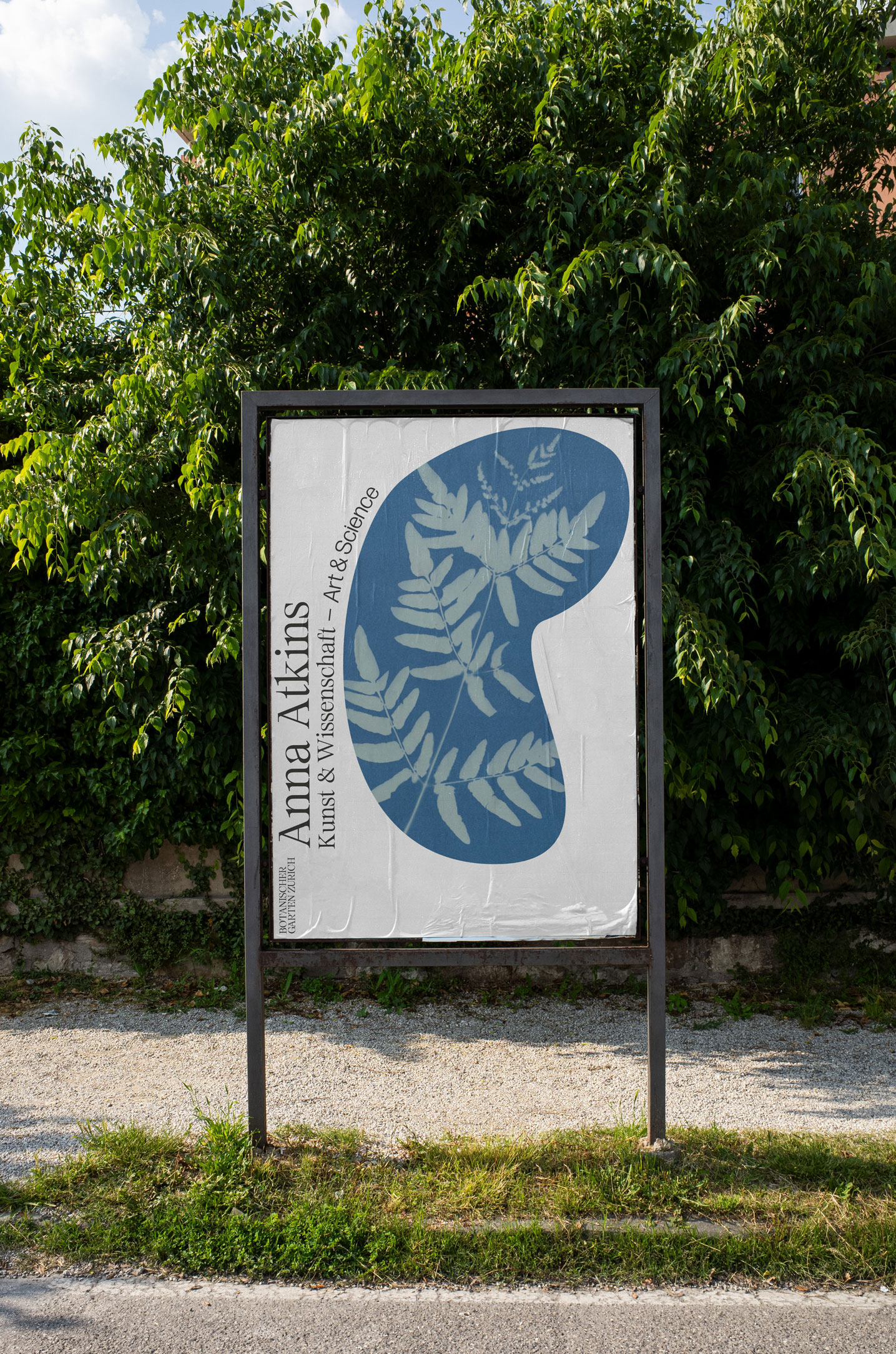 Fictional Redesign of the Zürich Botanical Gardens, 2024