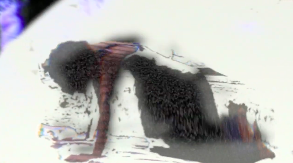 "atenção flutuante", 00:04:08, 2021