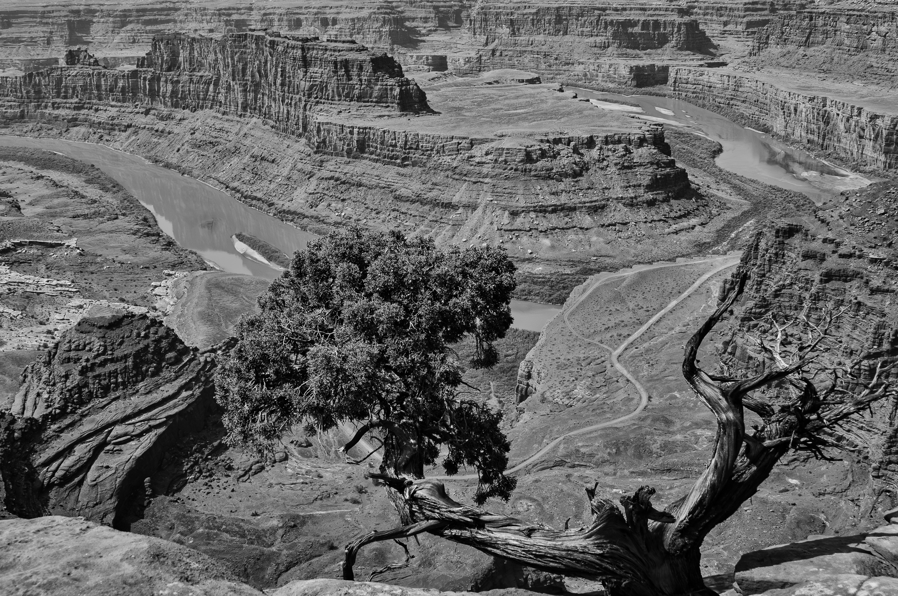 Canyonlands National Park. Horse Point (Thelma et Louise). 1830 m, on surplombe les lacets du Colorado qui serpente 600m plus bas.
