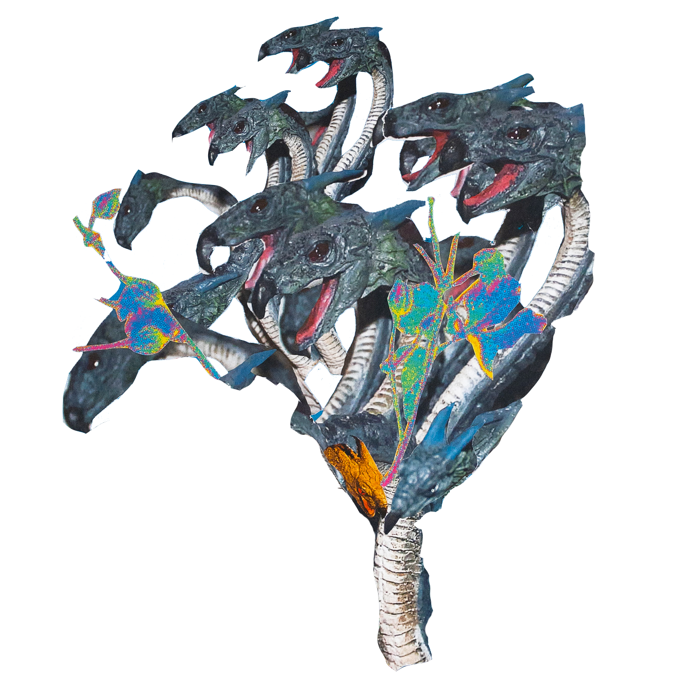 Tayler Fisher - Hydra - Trace gallery - Surface Series Signs