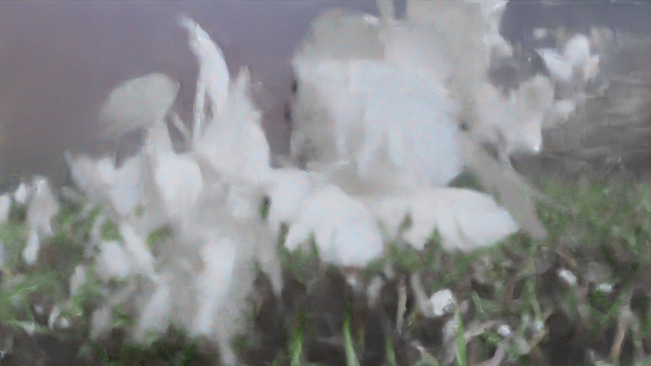 eyes8atelier is a virtual studio by jay mulholland.