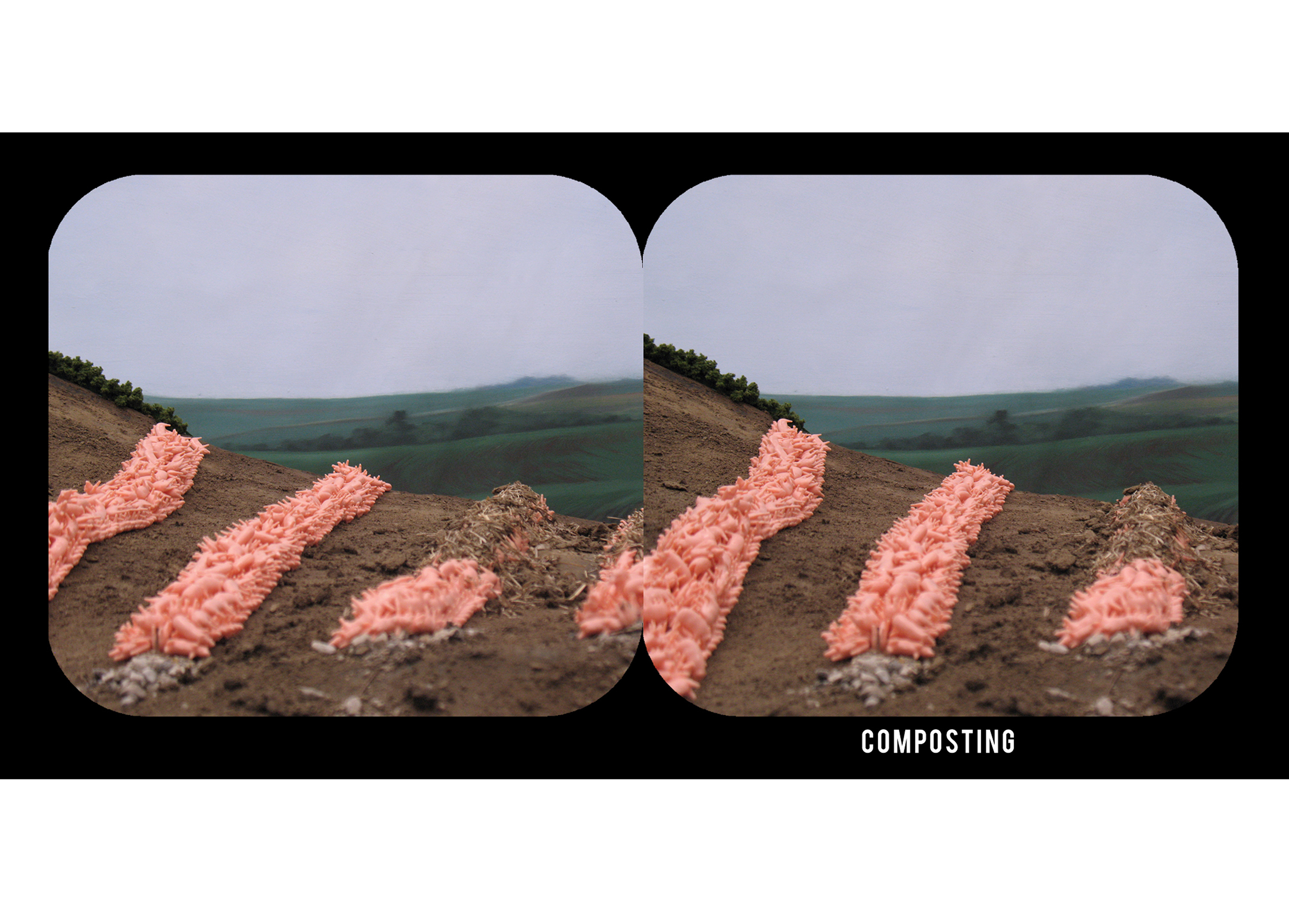 Stereoscopic 3D illustration of methods of carcass disposal for catastrophic hog mortality based on recommendations from an Extension publication.