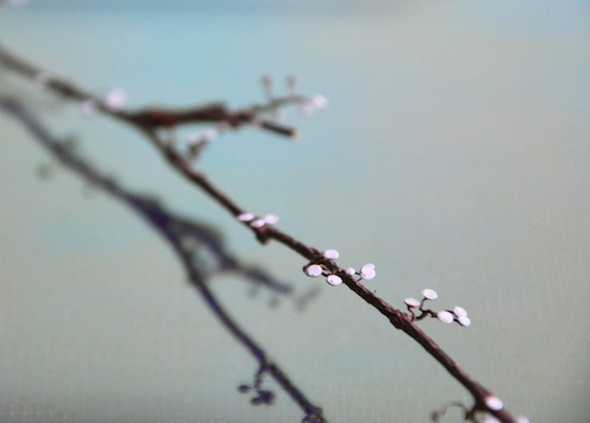 Attrape coeurs, 2021Branches d&rsquo;ampelopsis, peinture phosphorescente, dimension variable. Vue d&rsquo;exposition "Bee and Bobby Mac Leaf", galerie LIUSA WANG