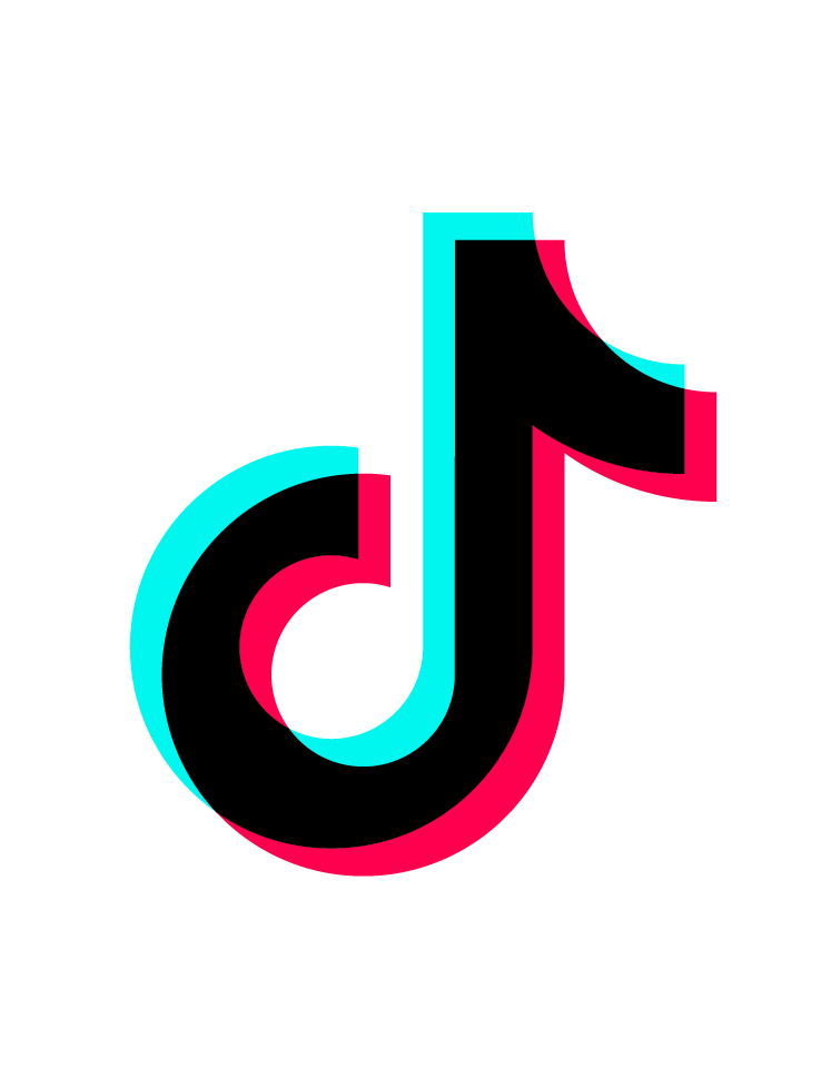 TIKTOK GROWTH CAMPAIGN