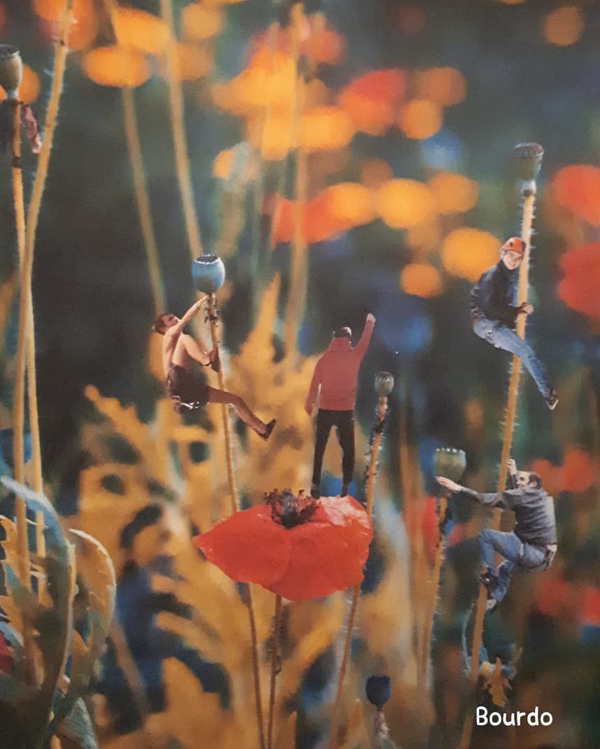 Lucie-bourdeau André-potvin