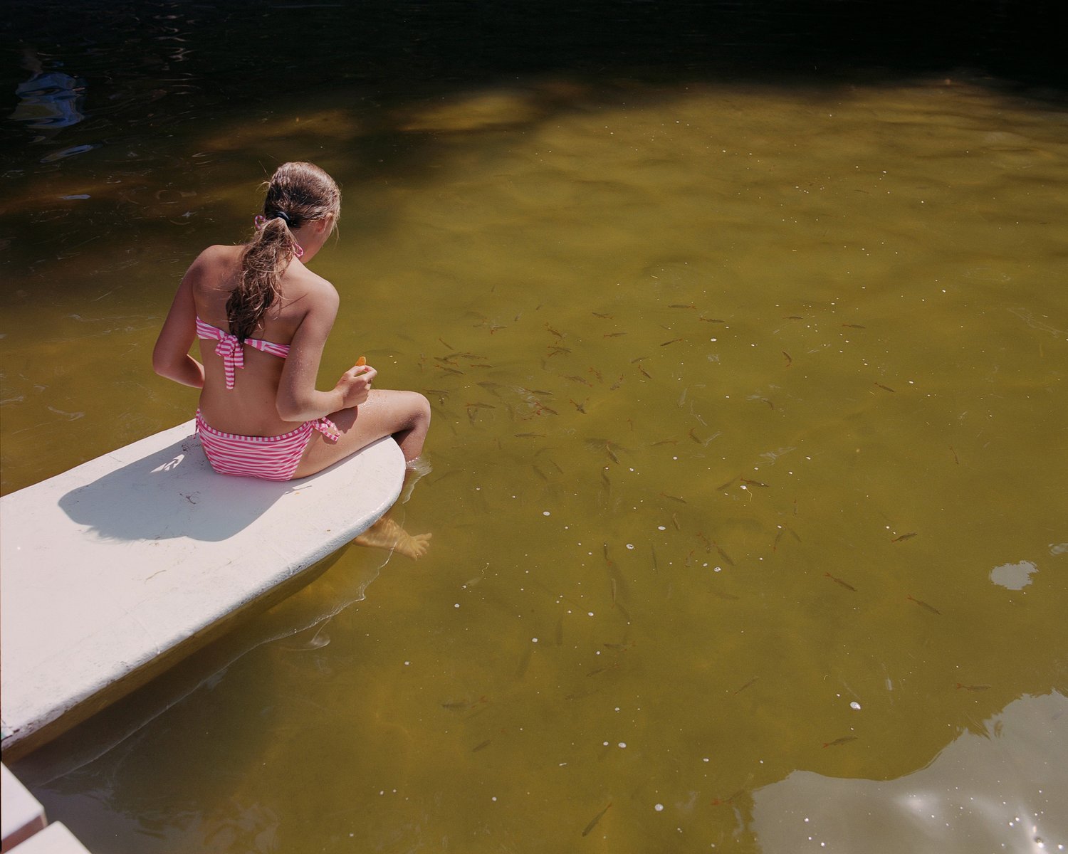 Dinner time. Gniezno, Poland, 2018