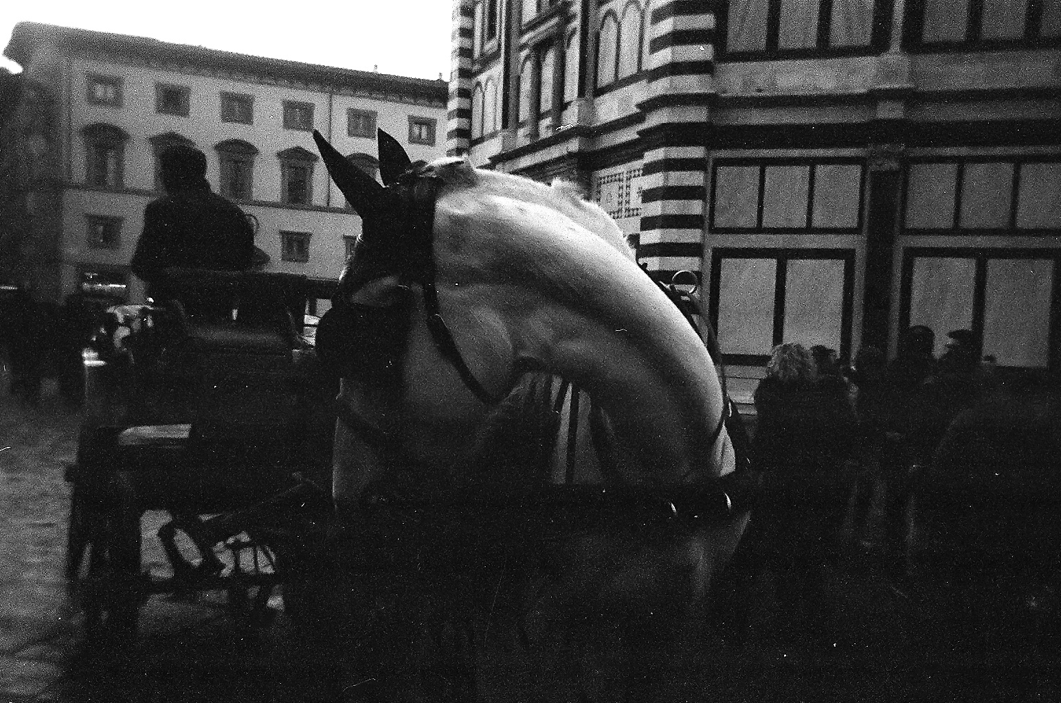 Disposable Florence
