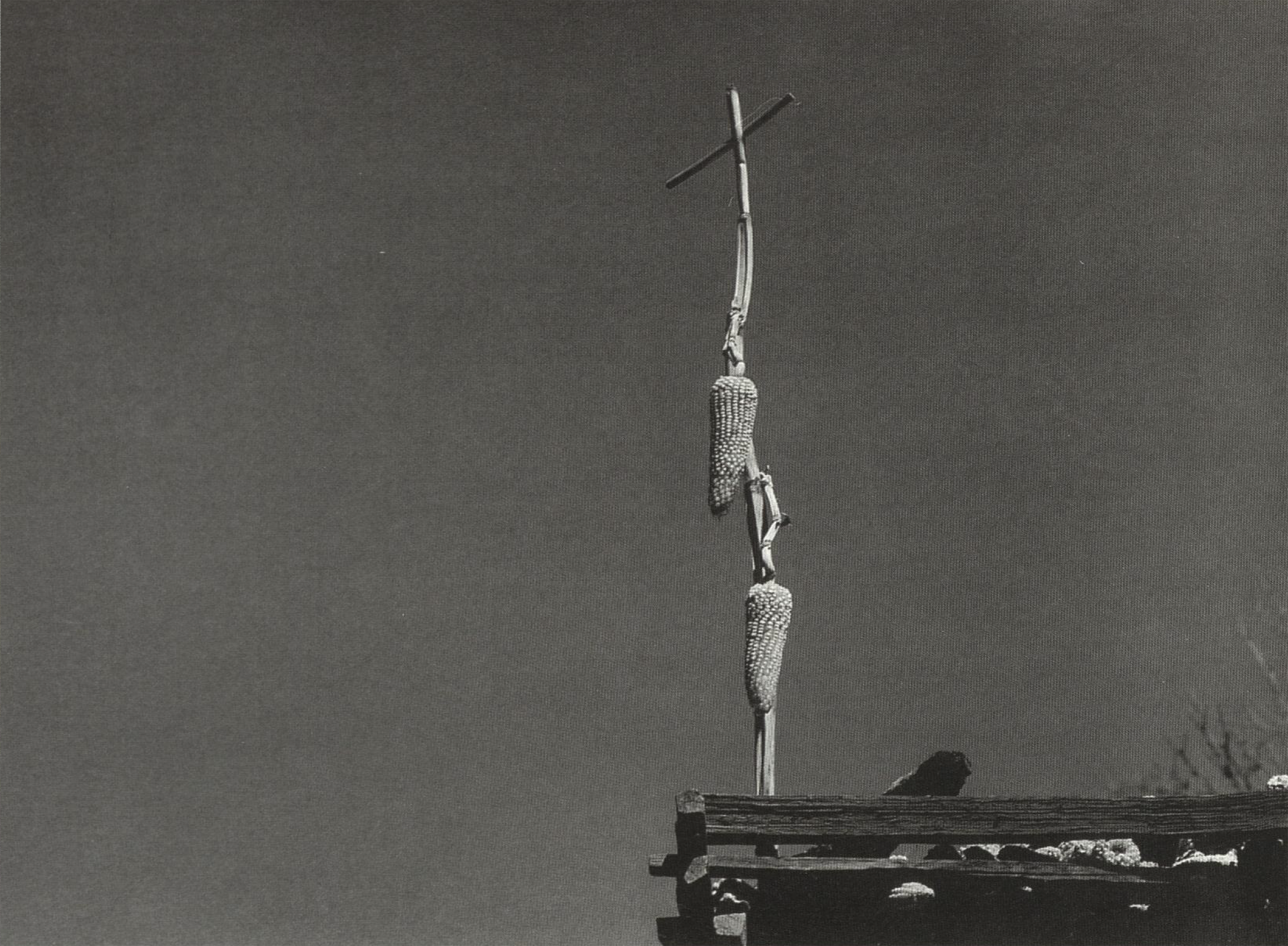 Mariana Yampolsky, La consagración del maíz. 1989