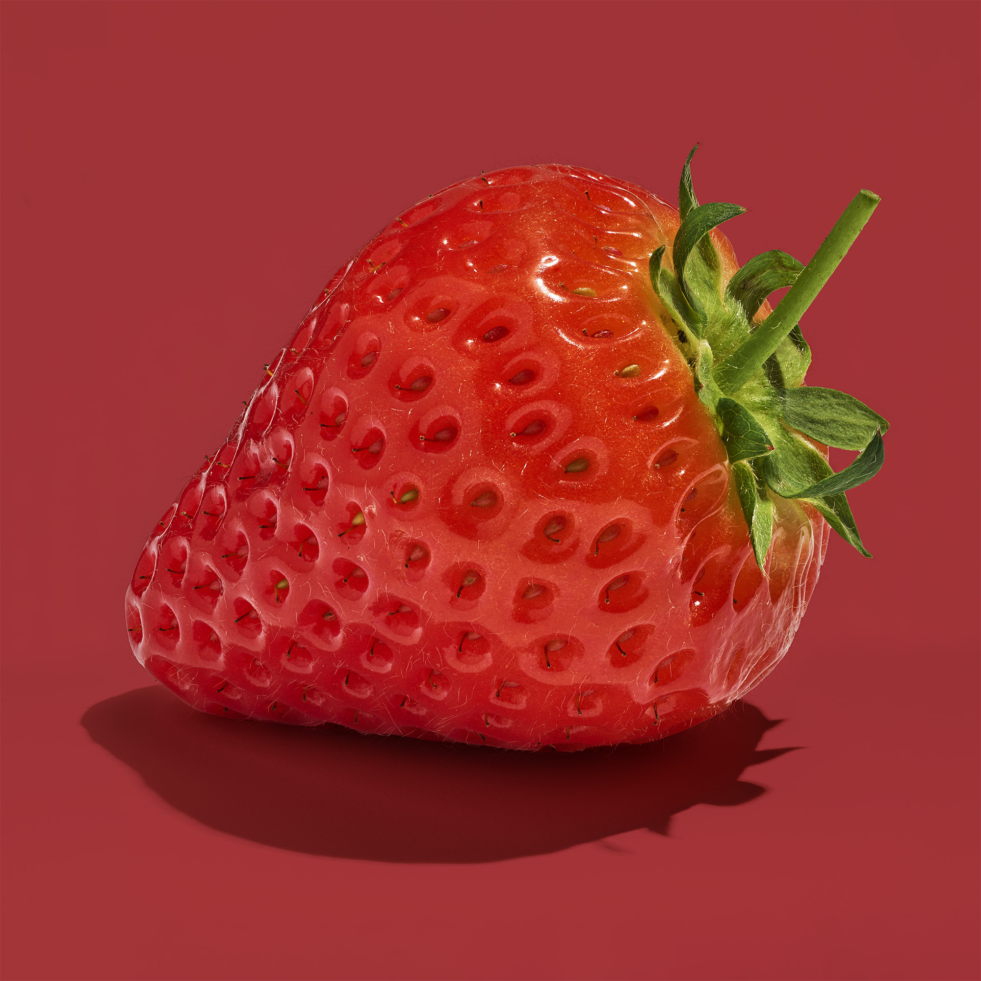 close up fruit photography showing detail