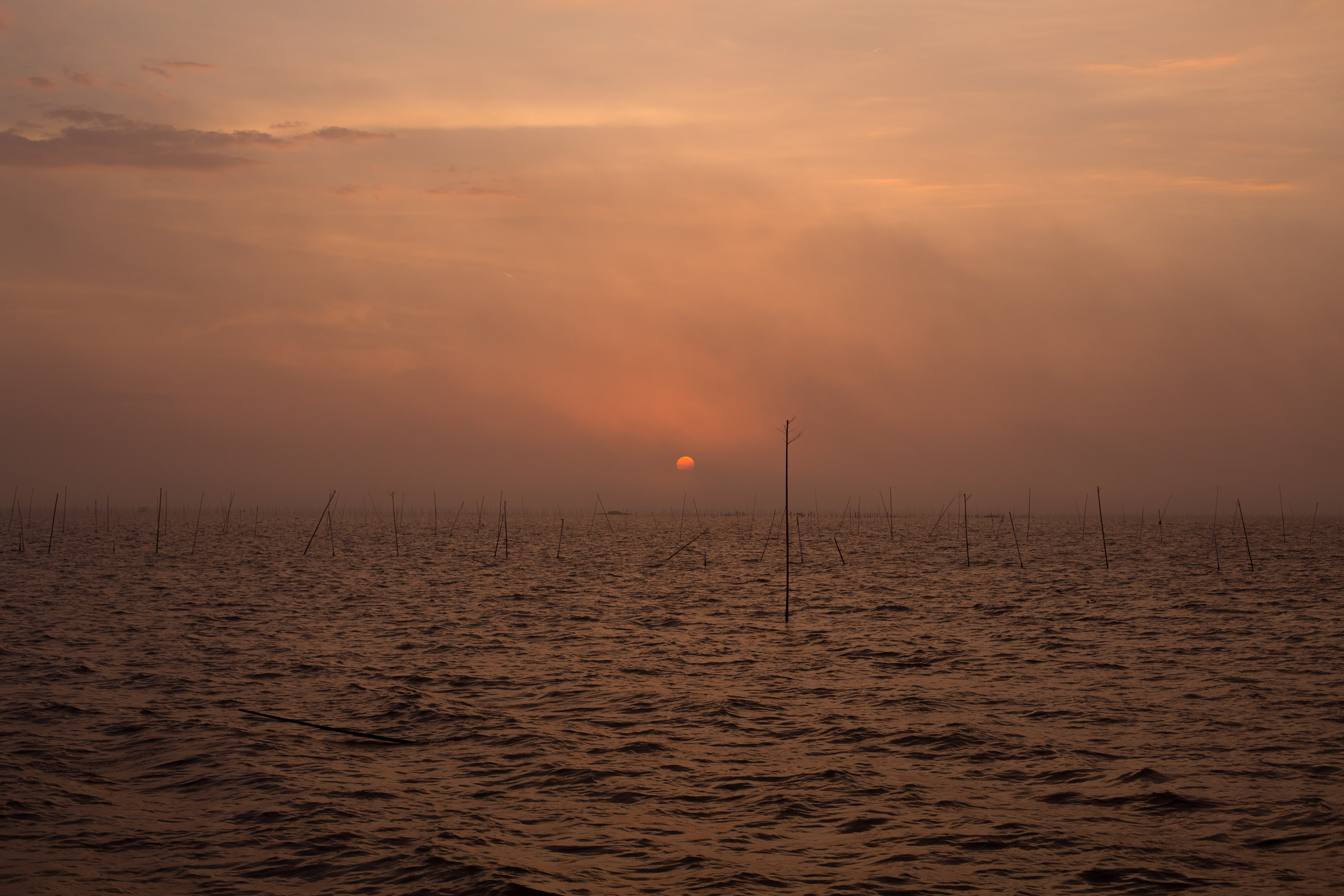 The sun rises early in the morning in Barataria Bay, La. The sticks in the water designate parcels of land that are leased from the state by oystermen. These leases are hard to come by and are highly coveted. Most oystermen are simply hired to work on someone else's lease which drastically cuts back on the profits one can make each day.