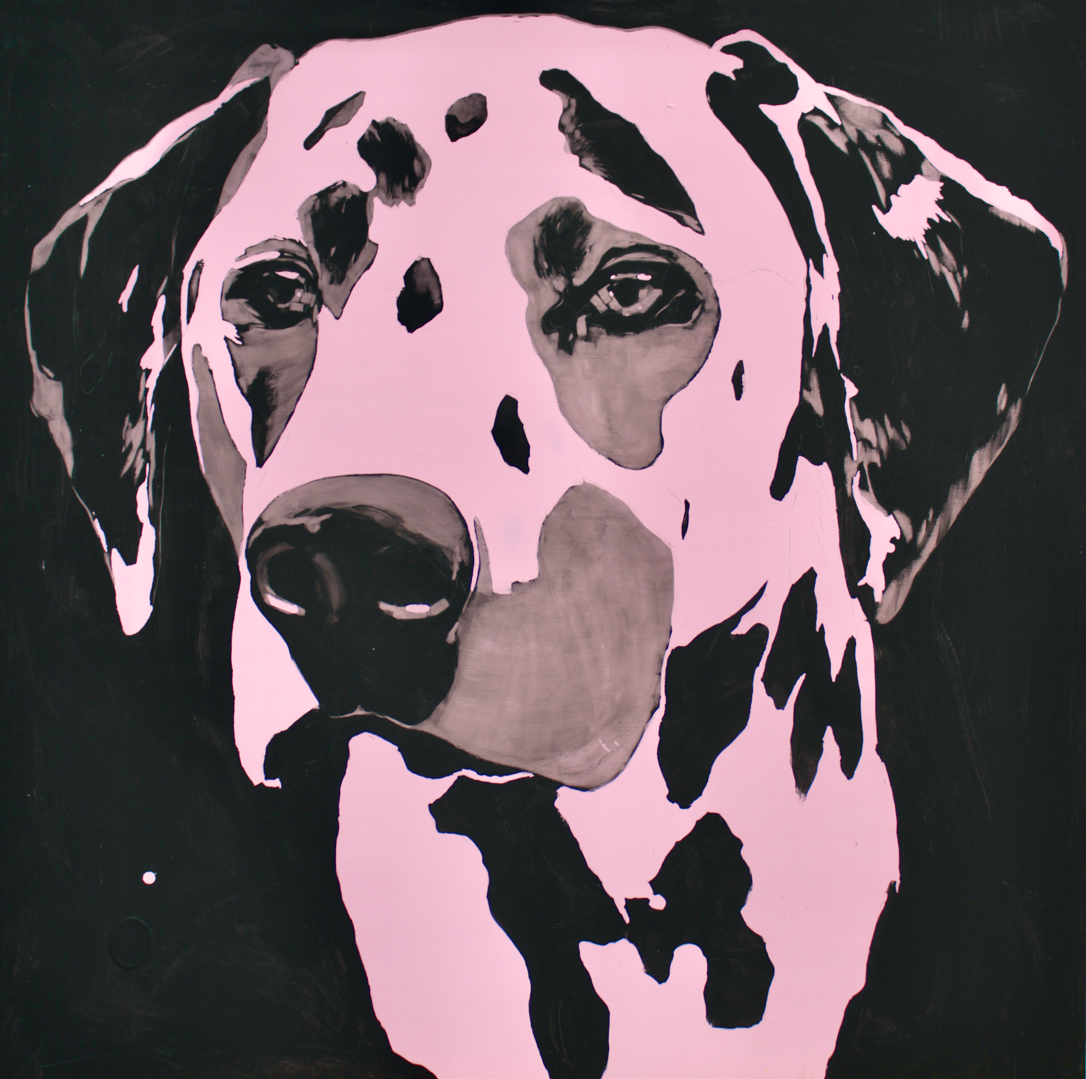 Not Pongo, 2021 (100x100cm).