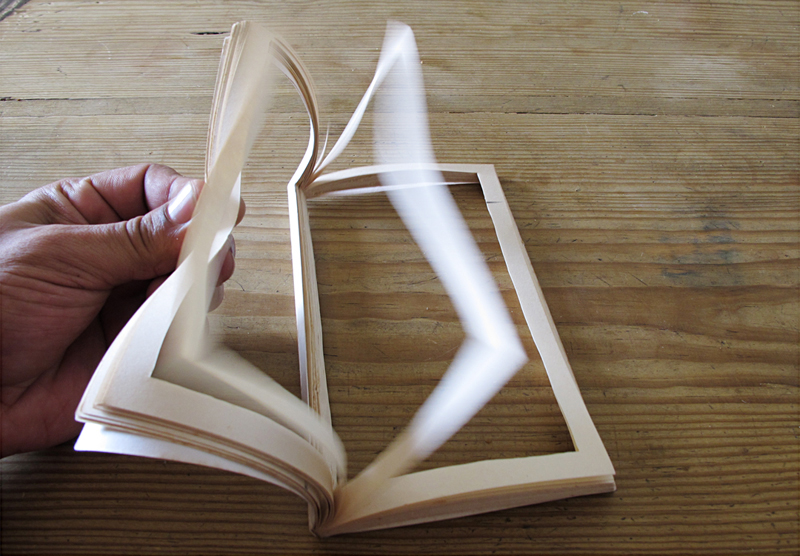 libro : marzo 11/10 : vaciar