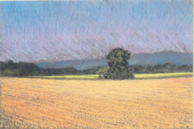 P1.89 - cut field