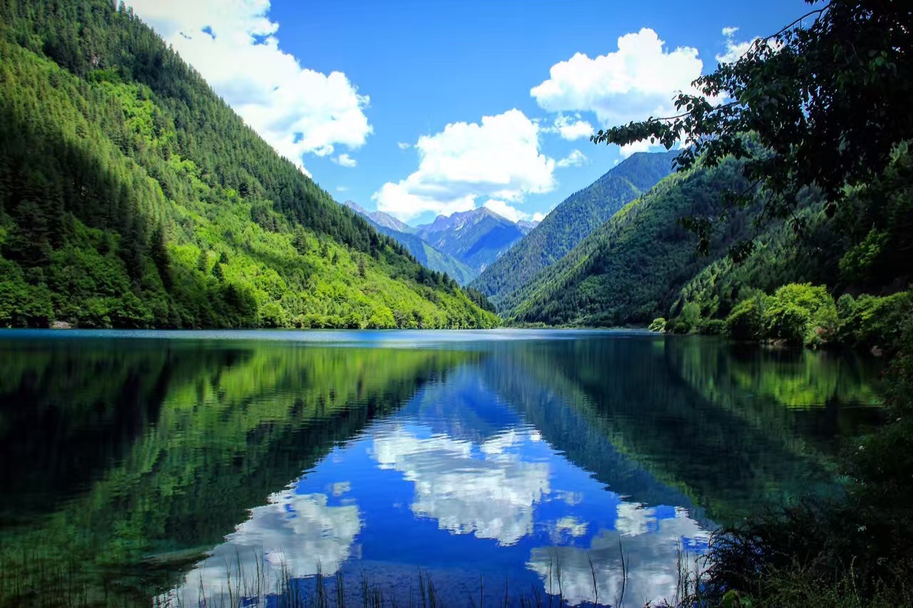 "Portrait of the devastated Jiuzhai Valley National Park from 2016... awaiting the day she returns from the deadly earthquake."