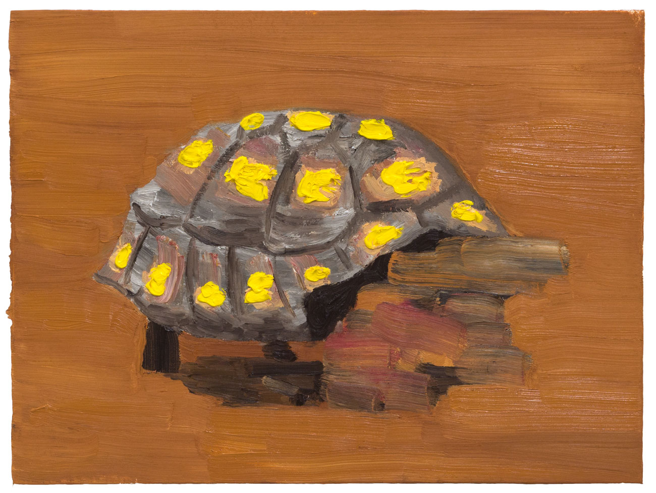 Jabuti, 2017, &oacute;leo sobre tela, 30 x 40 cm