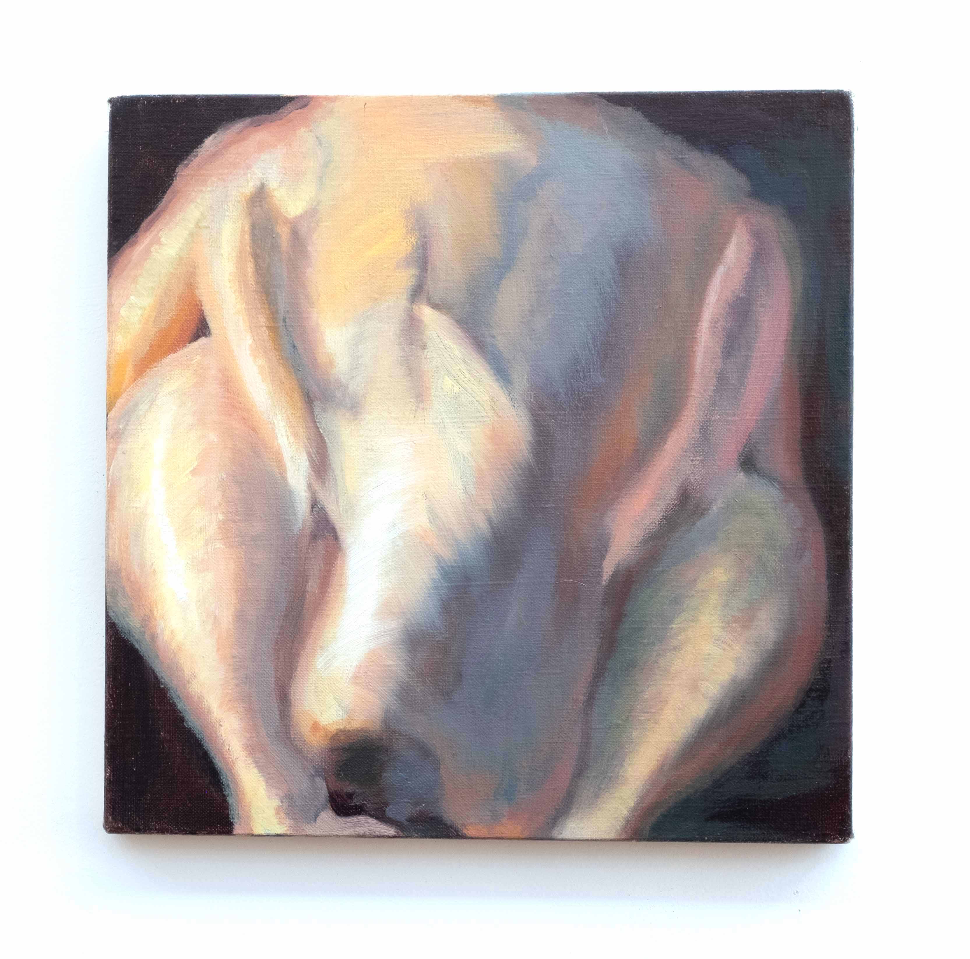 Untitled (from the Chicken Series), oil on linen, 12 x 12 inches, 2013