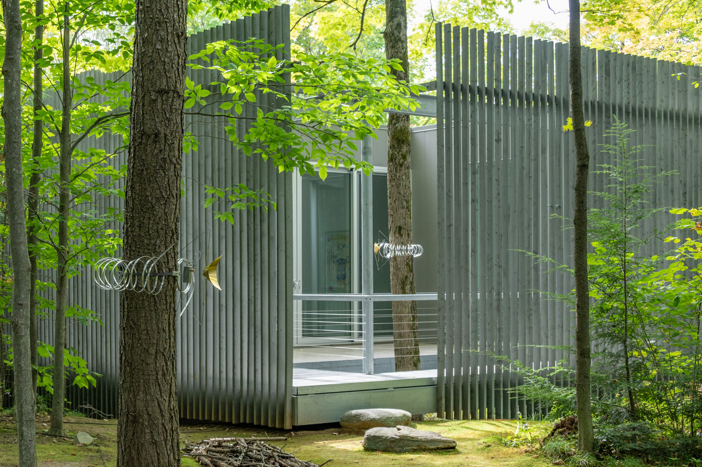Ioana Vreme Moser, Arboreal Receptors N3, 2022. Photo : Paul Litherland