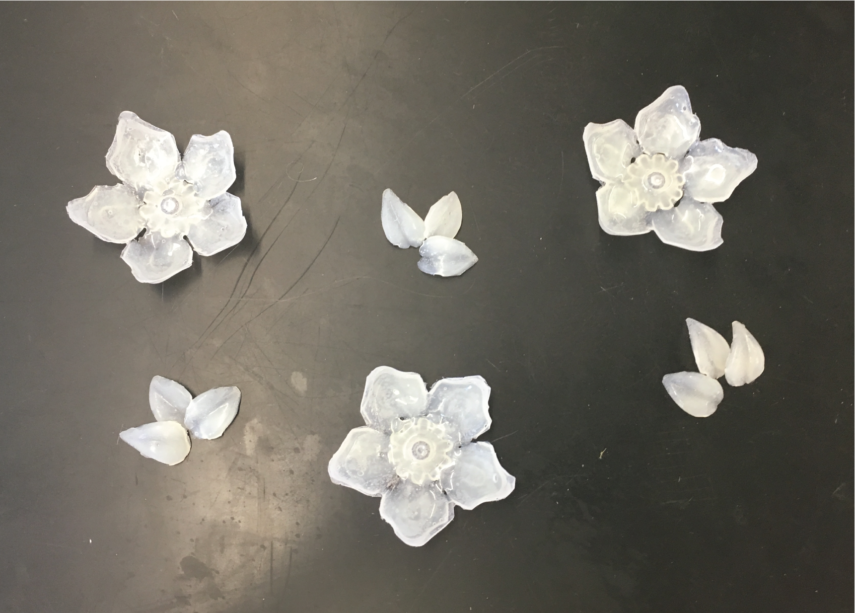 Flower Molds