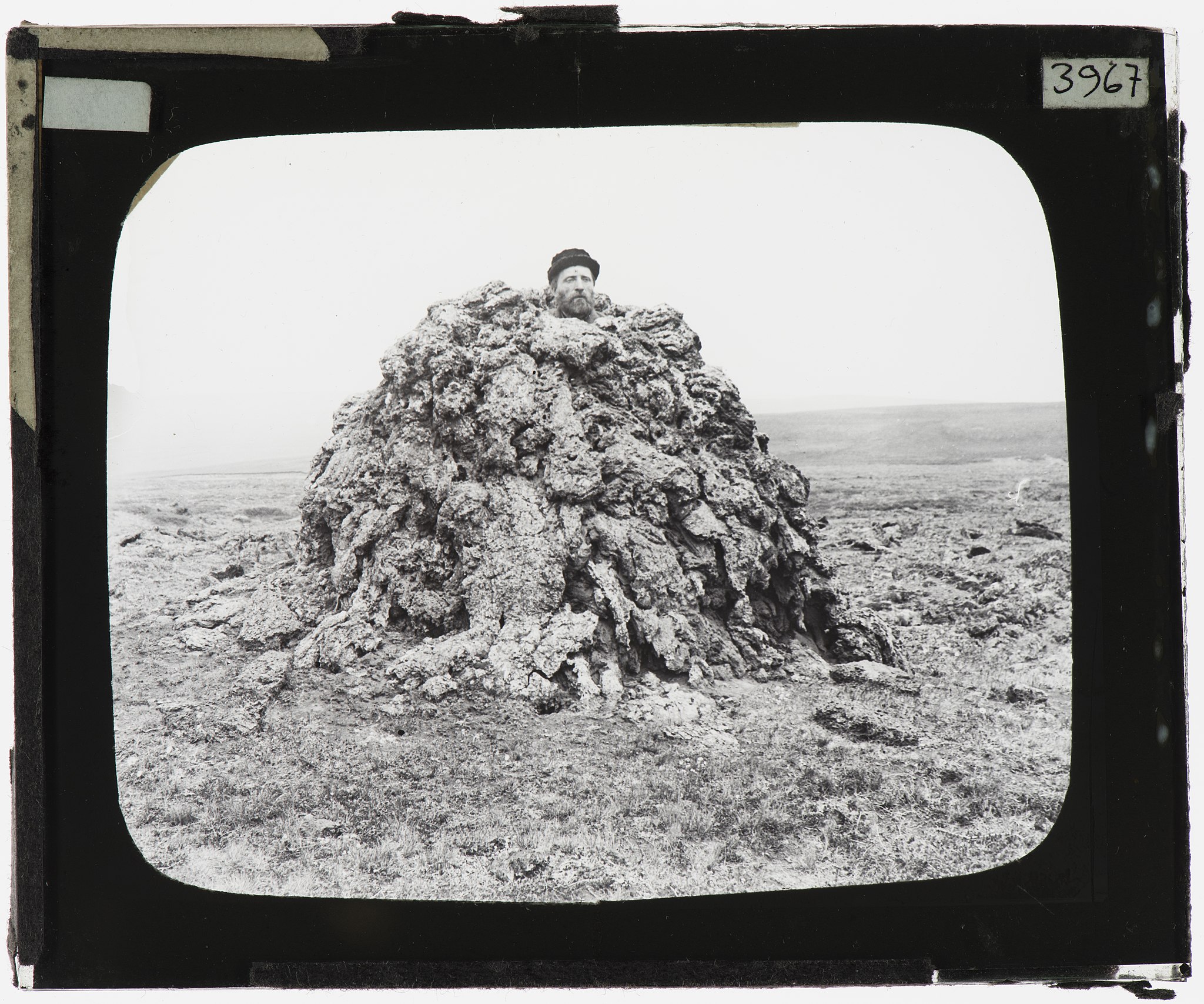 Punish me, Polyvotis