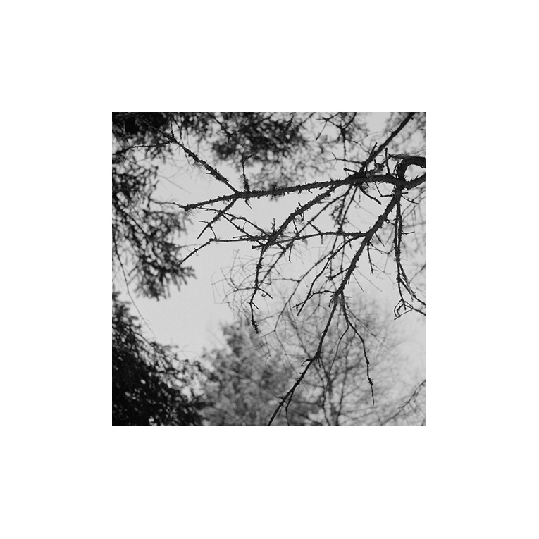 °06, 2015 : Épreuve à la gélatine argentique / Silver gelatin print, 11 x 14 '' (4.5 x 4,5 ")