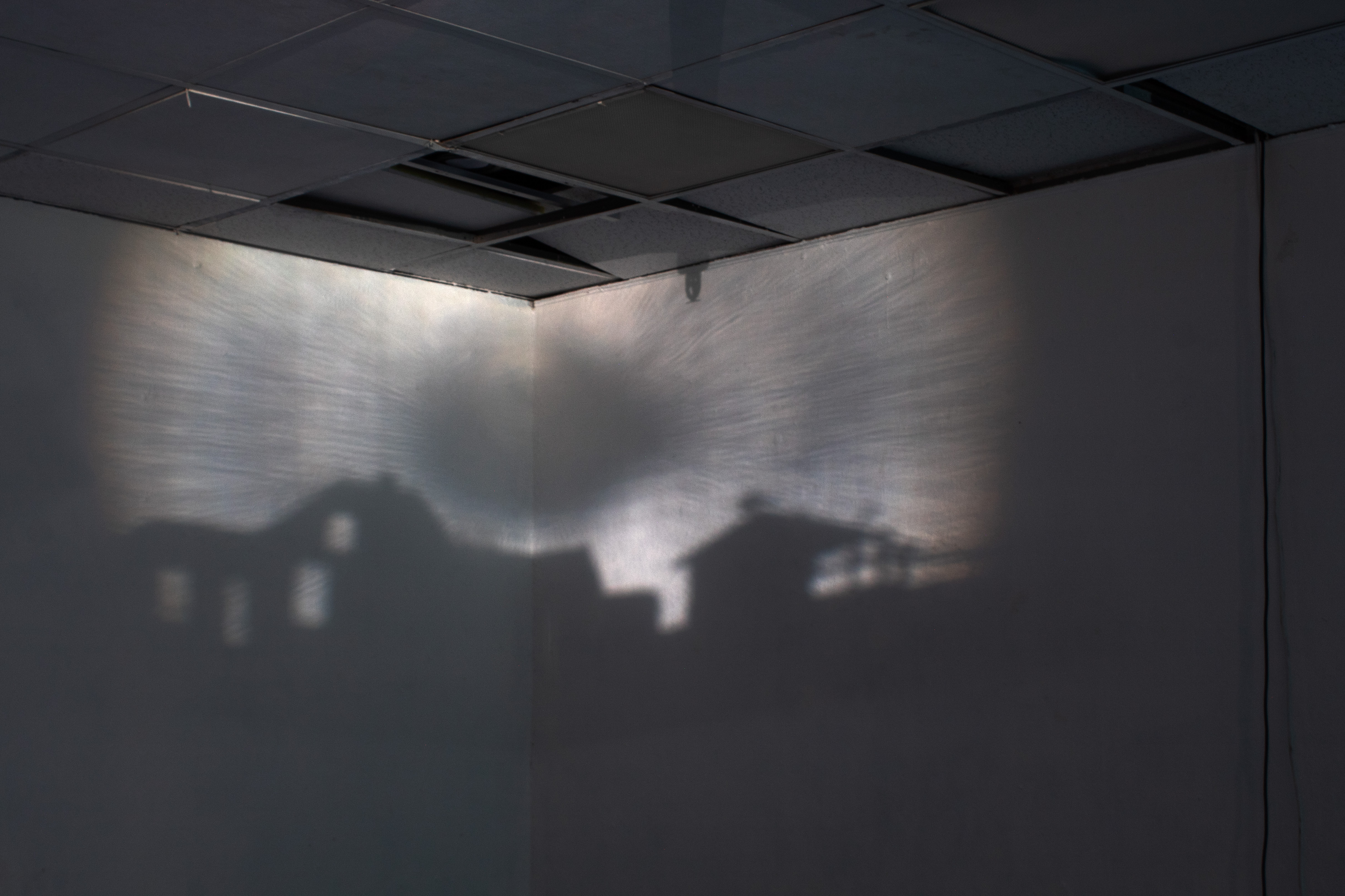 Work by Zhen Zhen Zhong