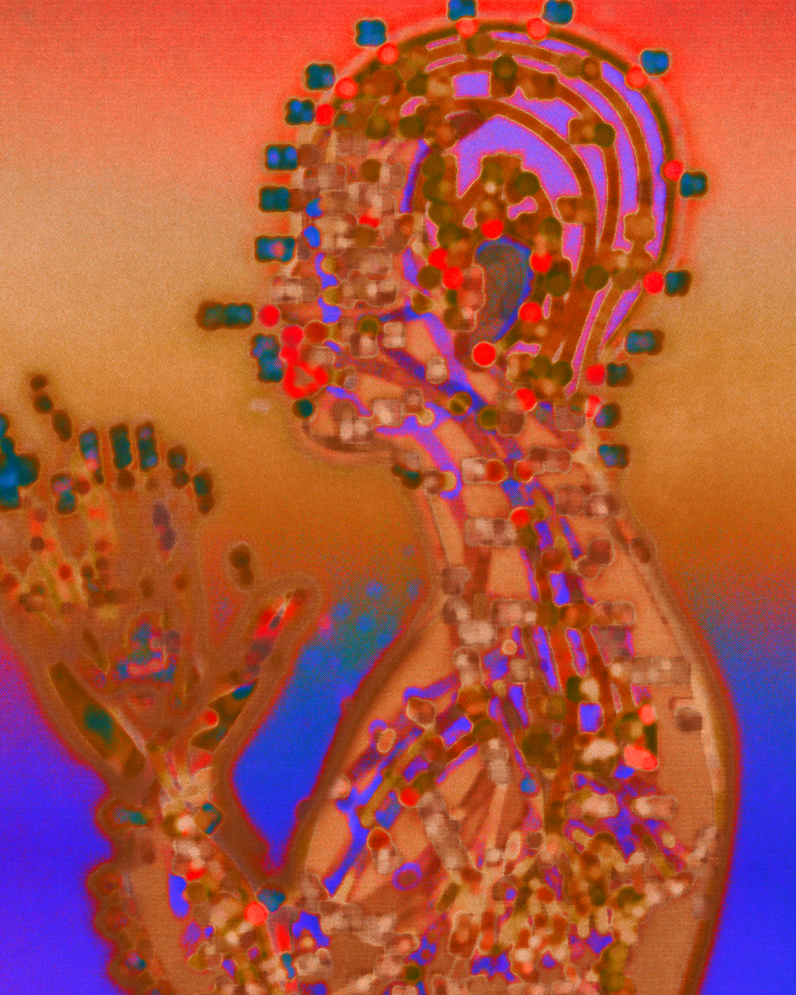 Embassy of Nature. Illustrations for Tractor Beam